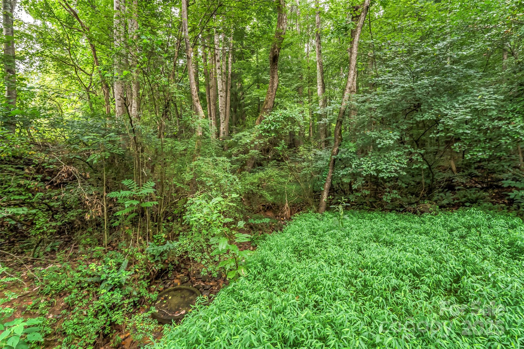 5526 Harris Farm Road