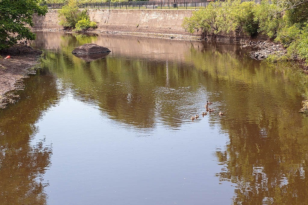 1241 Adams Street # F407