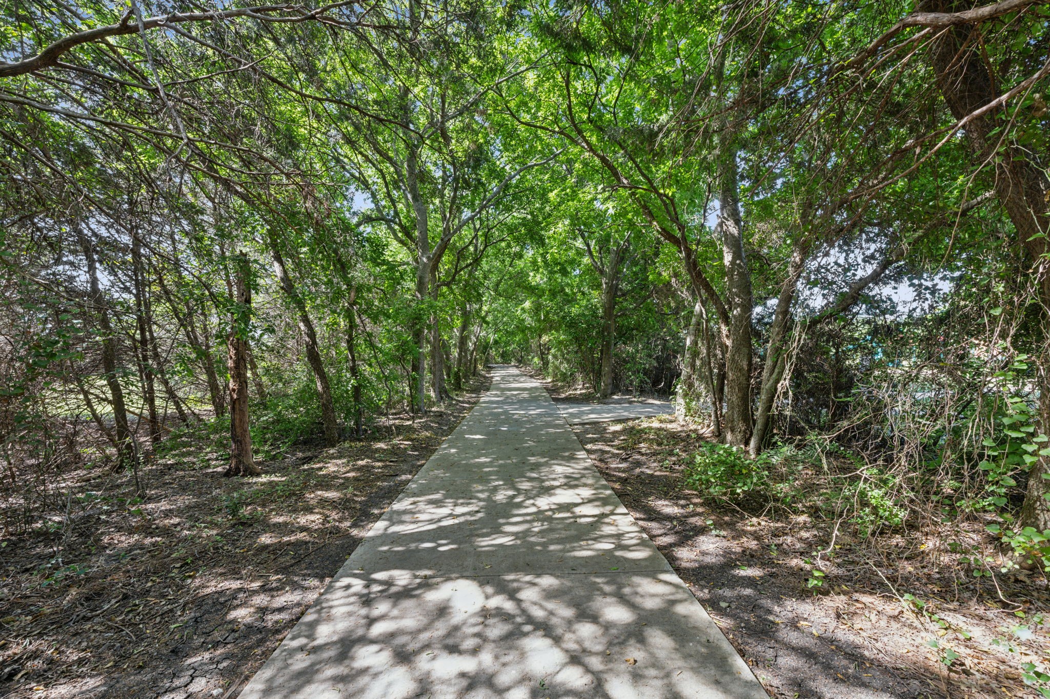 407 Rosemont Lane