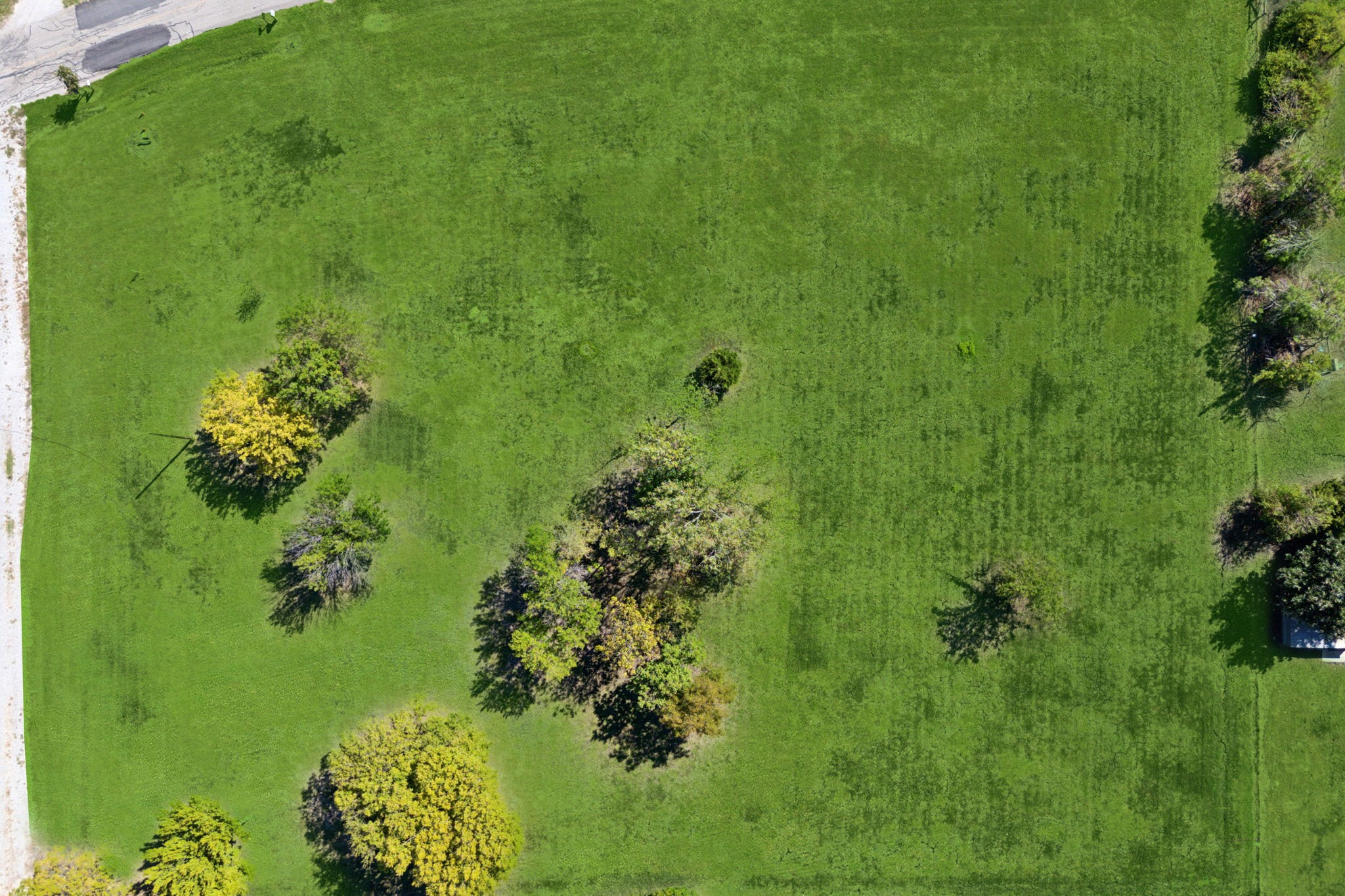 6158 County Road 437