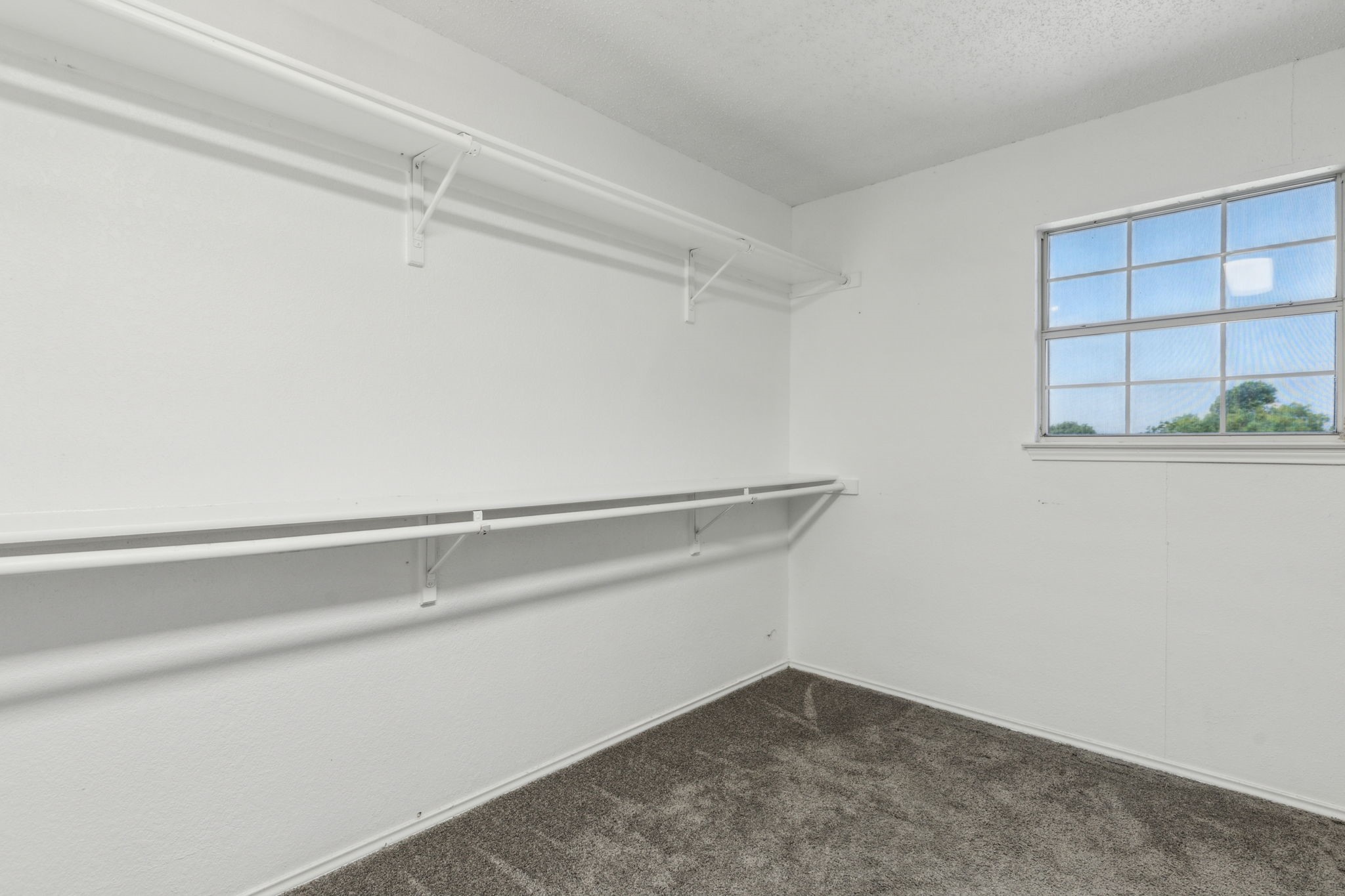 407 Washington Place