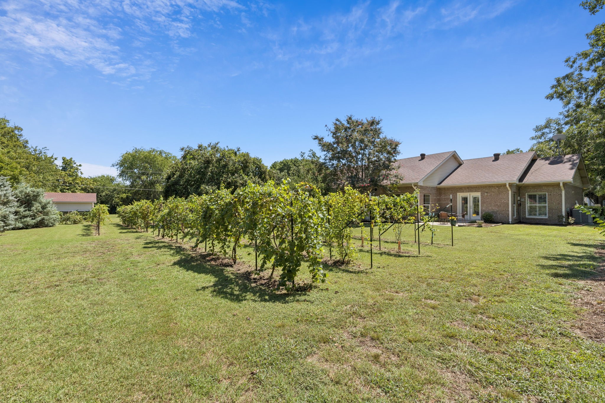 1161 Wynford Court
