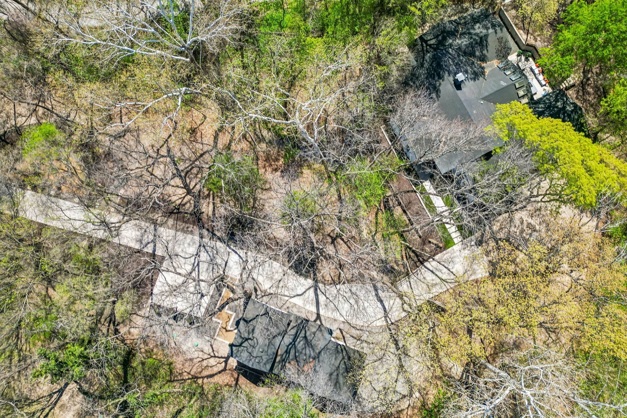 1250 Alto Vista Street