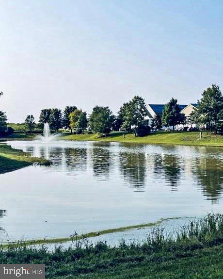 18 Bustleton