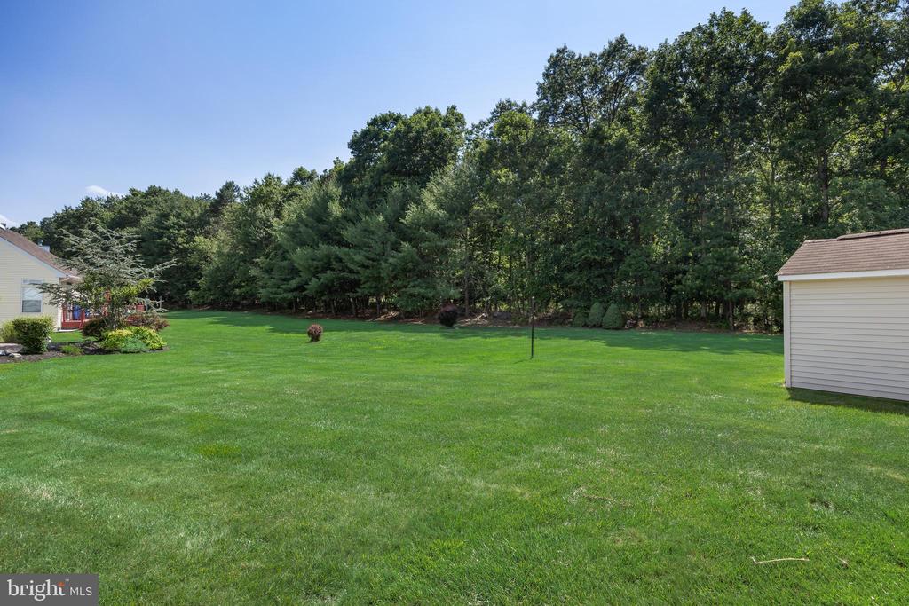504 SAINT MARTIN COURT