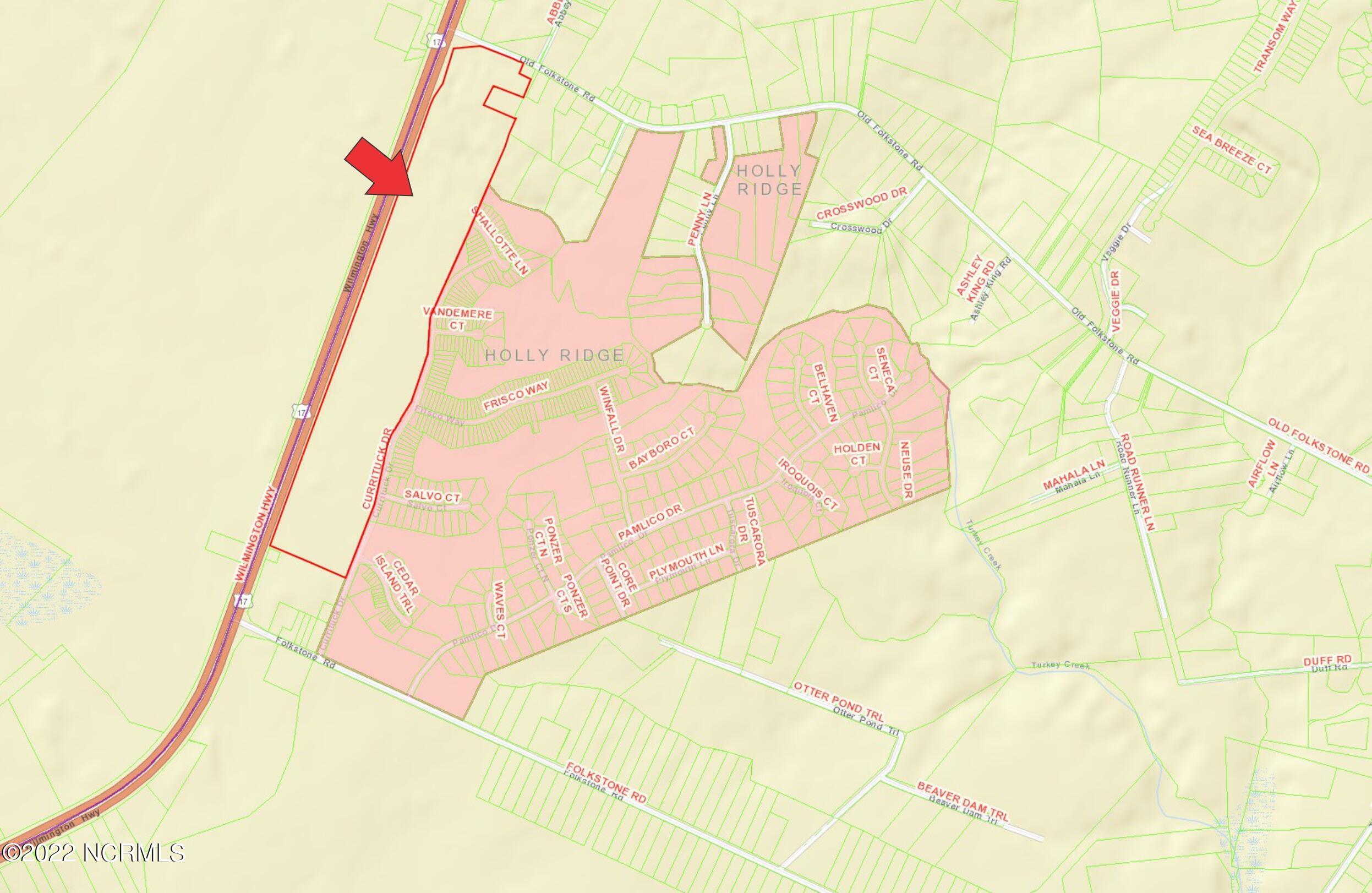 59.22 Acre Wilmington Highway