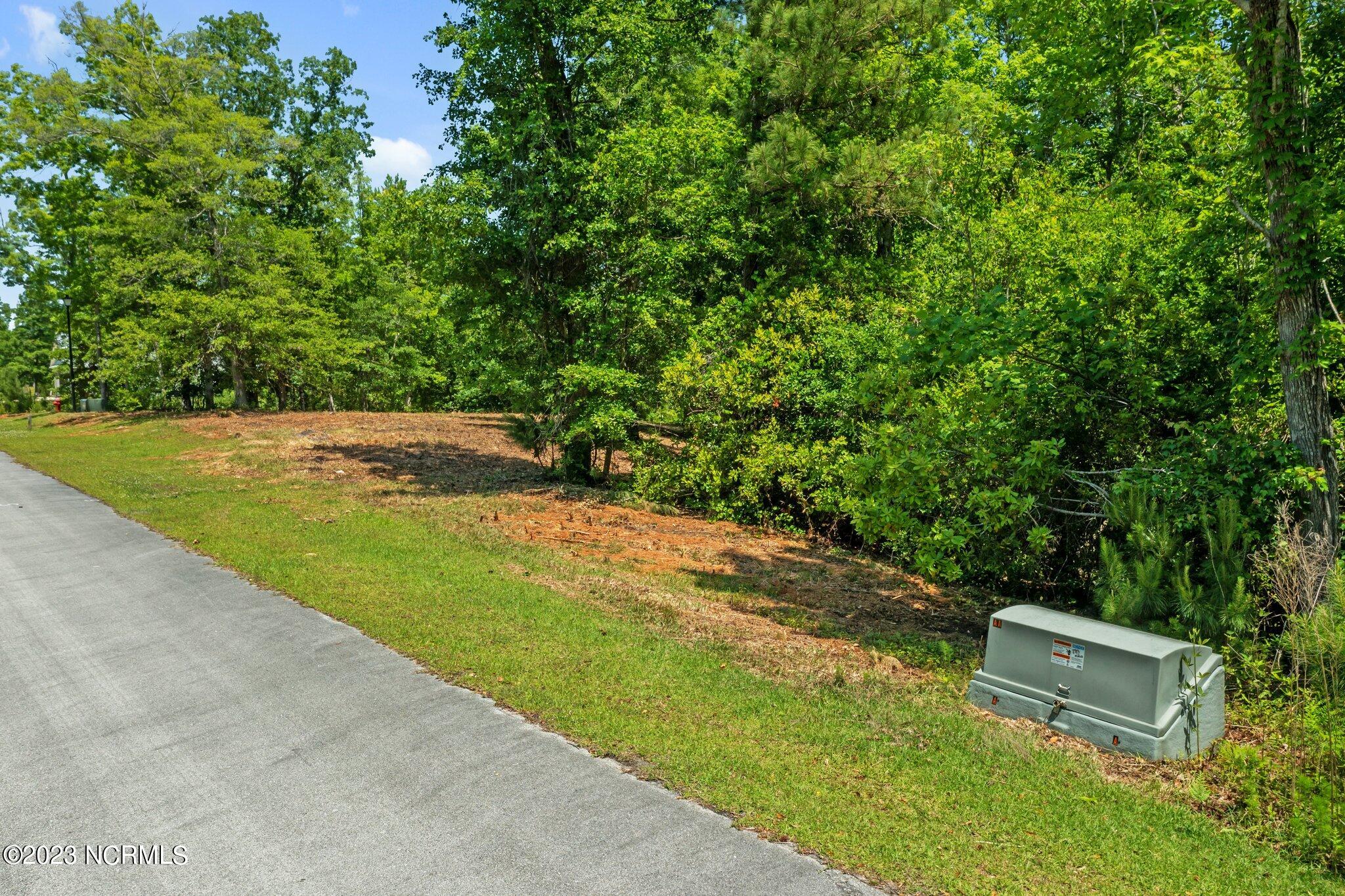 Lot 19 Summer Rest Trail