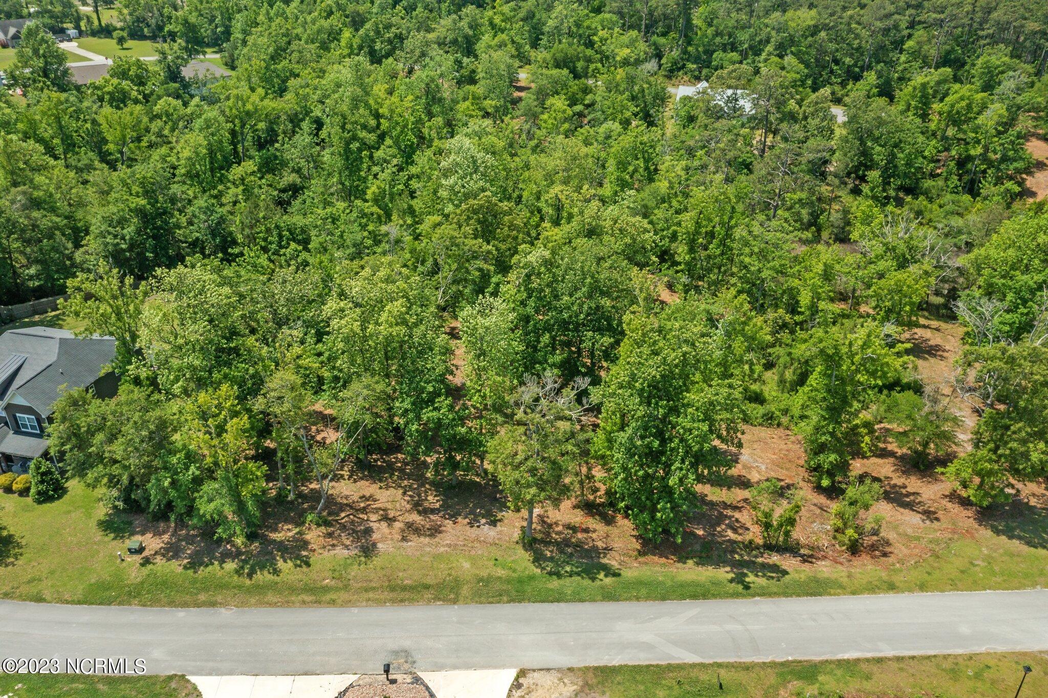 Lot 19 Summer Rest Trail