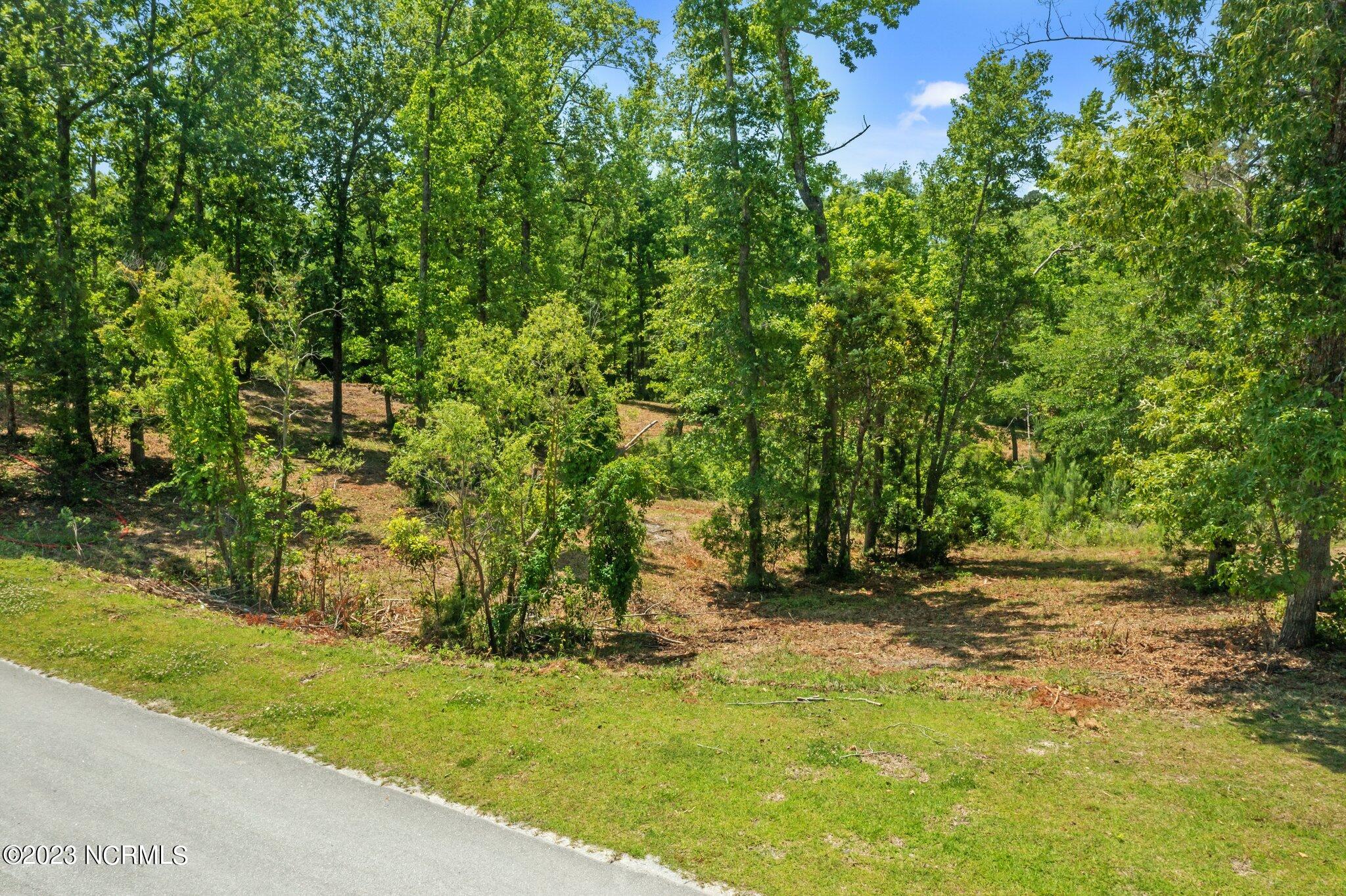 Lot 19 Summer Rest Trail