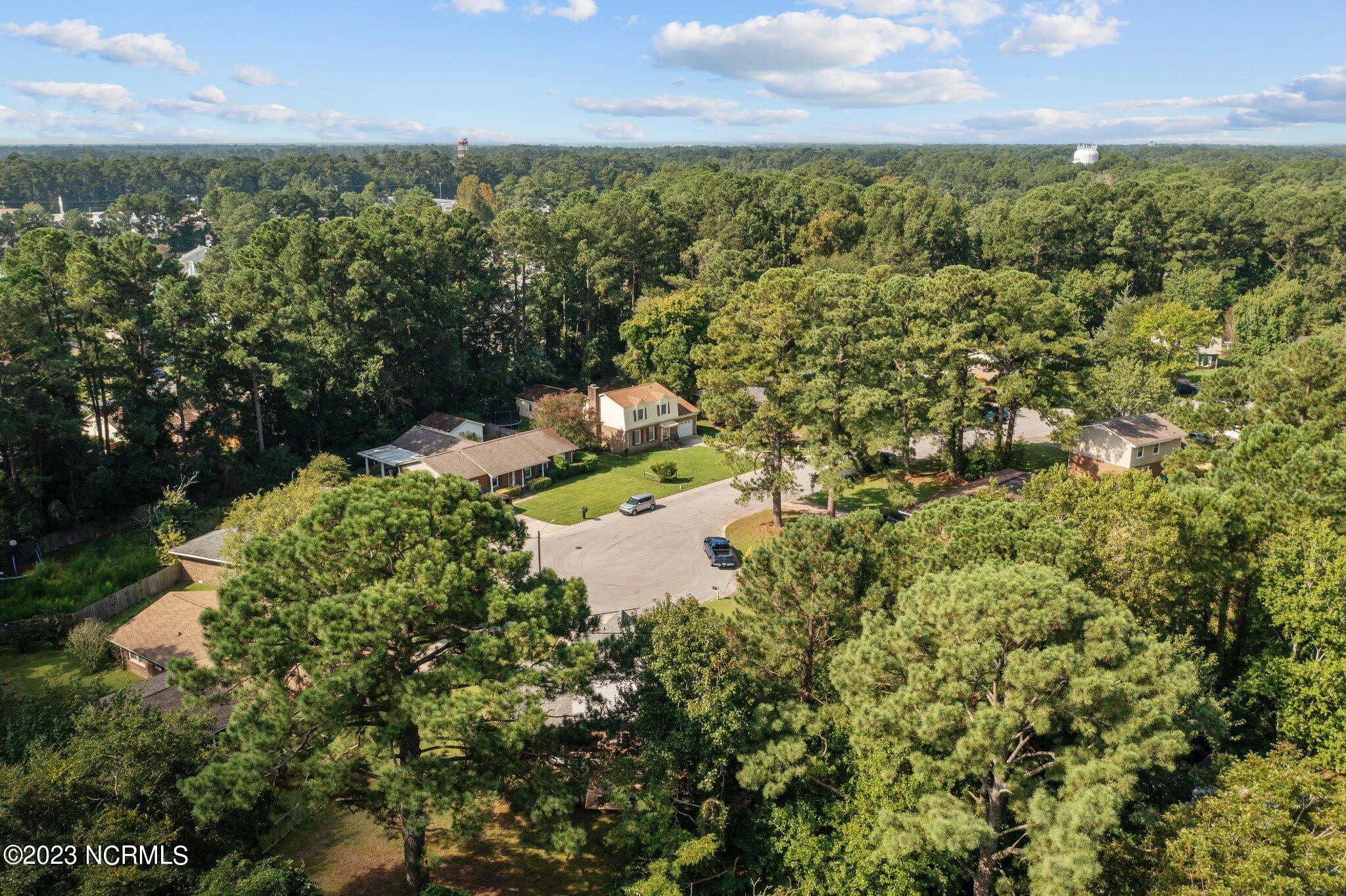 115 Meadowview Court