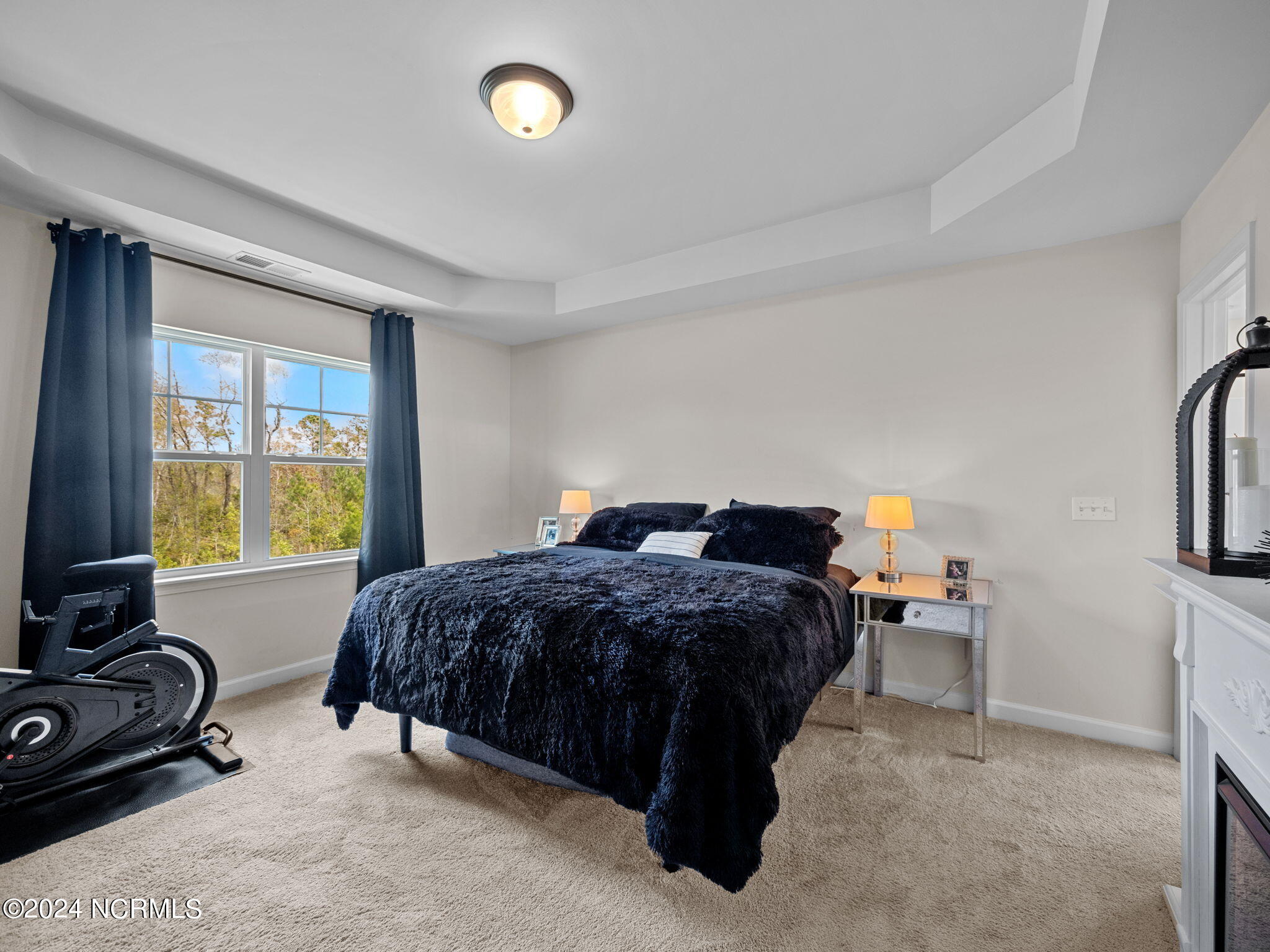 218 Purple Martin Drive