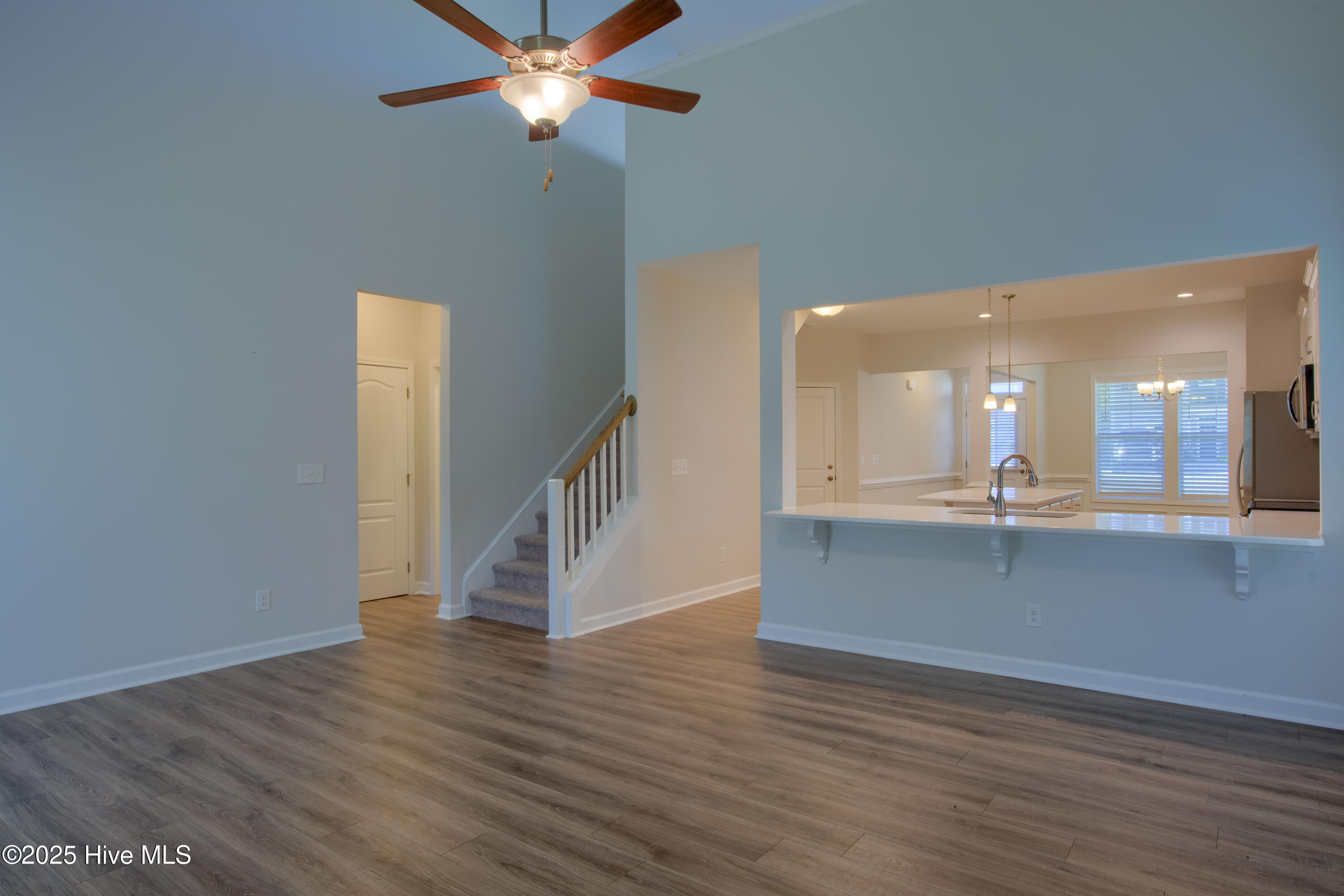 242 Downy Drive