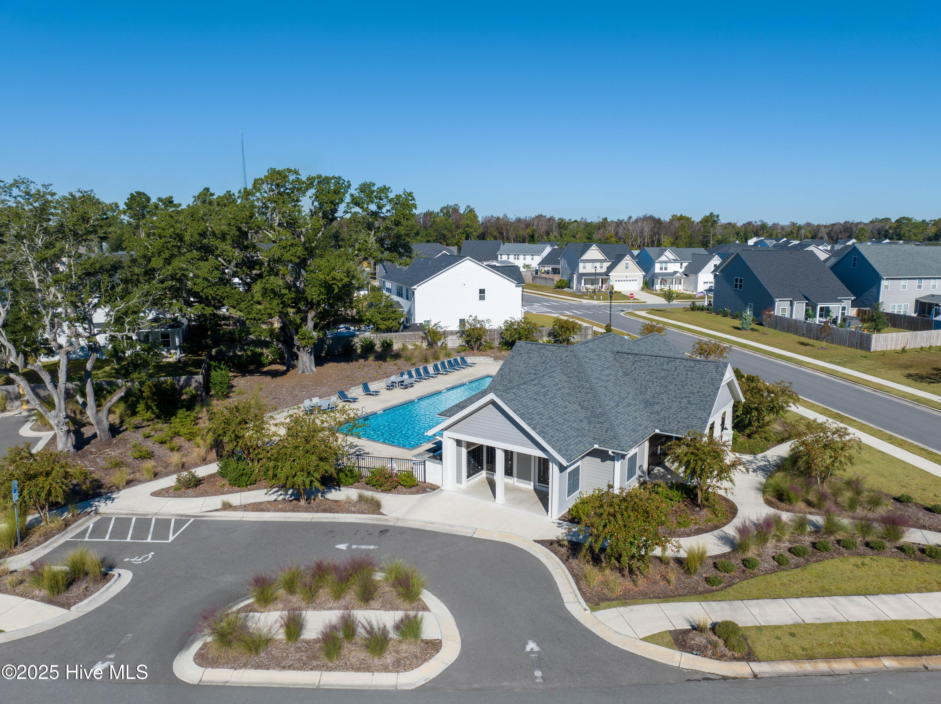 242 Downy Drive