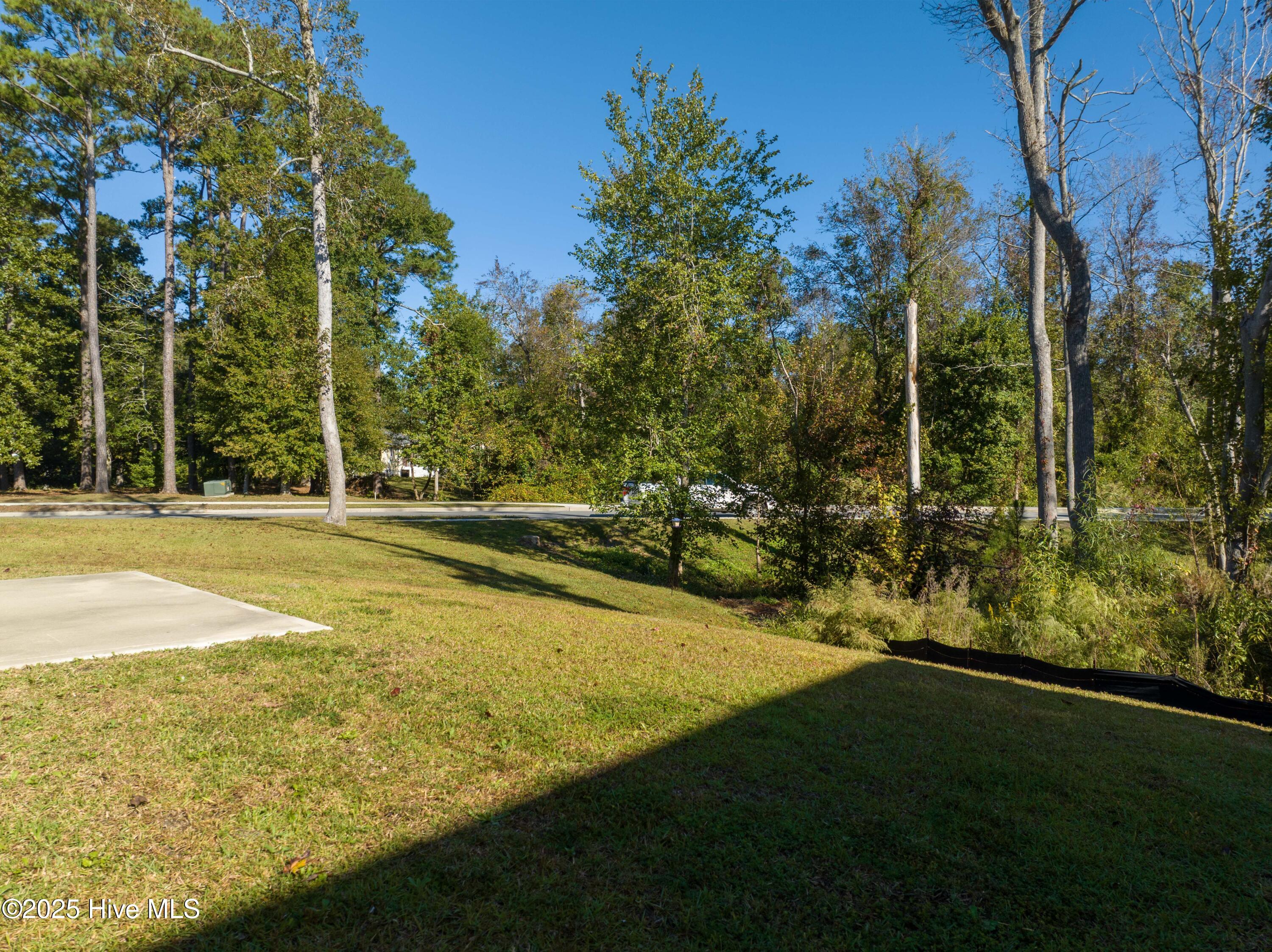 242 Downy Drive