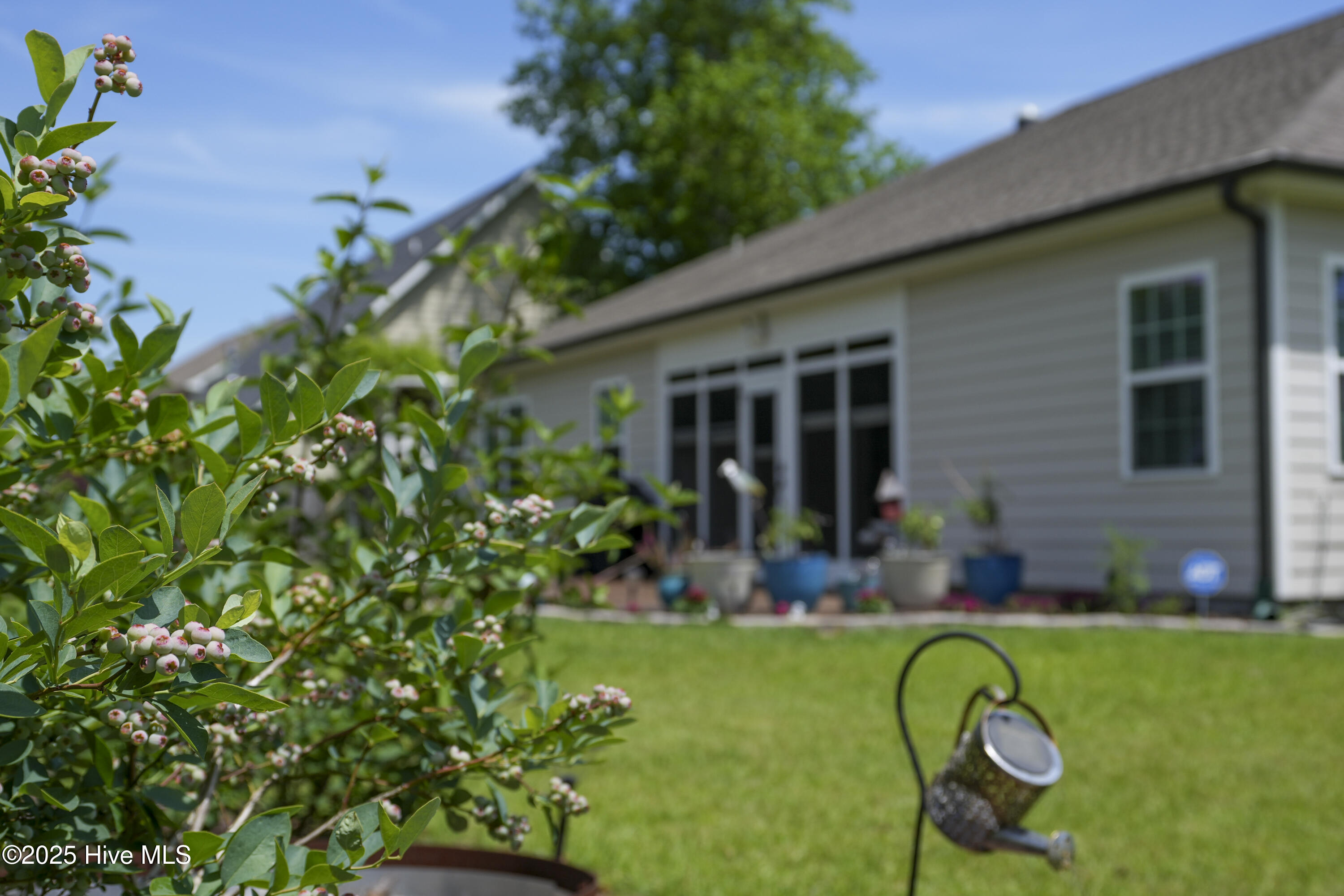 429 Canvasback Lane