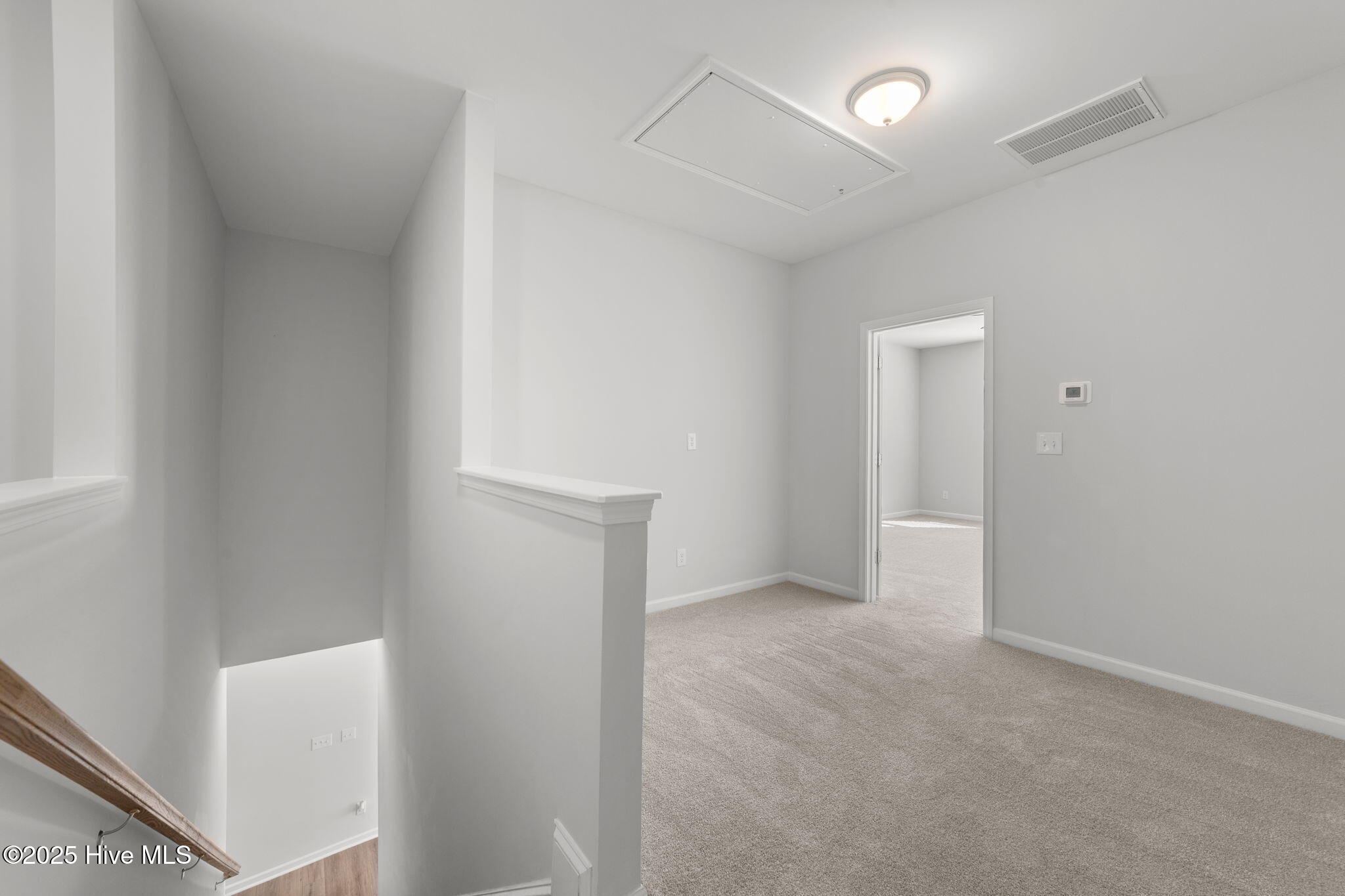 267 Pansy Park