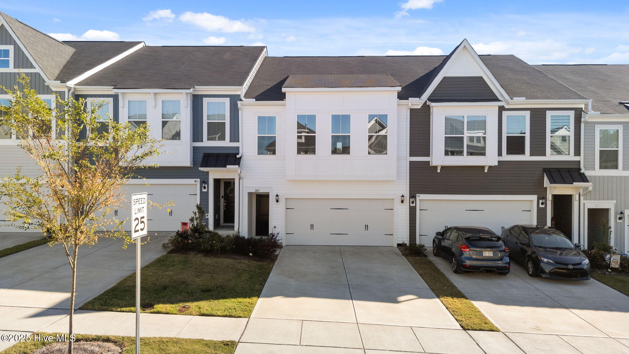 267 Pansy Park
