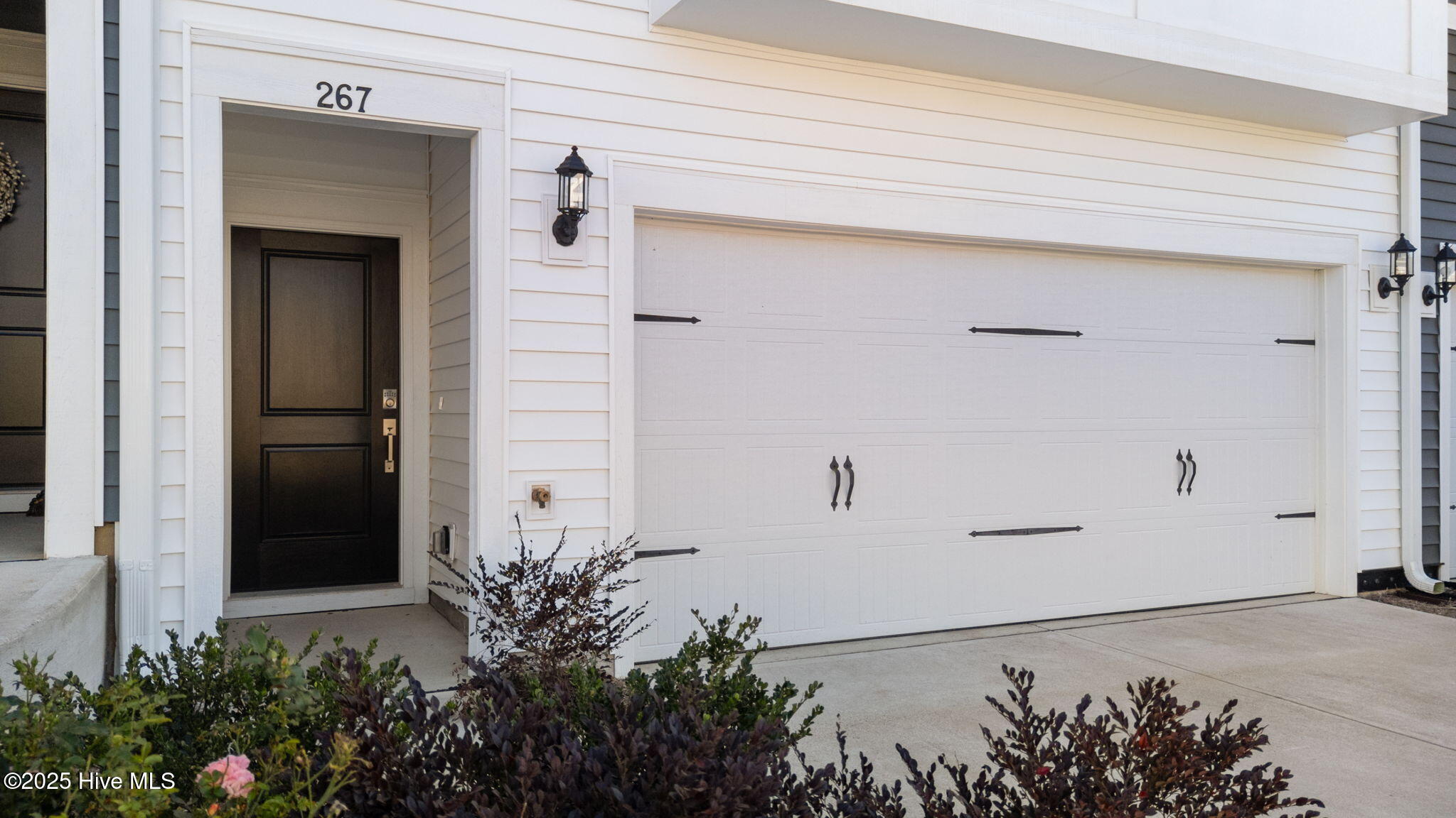 267 Pansy Park