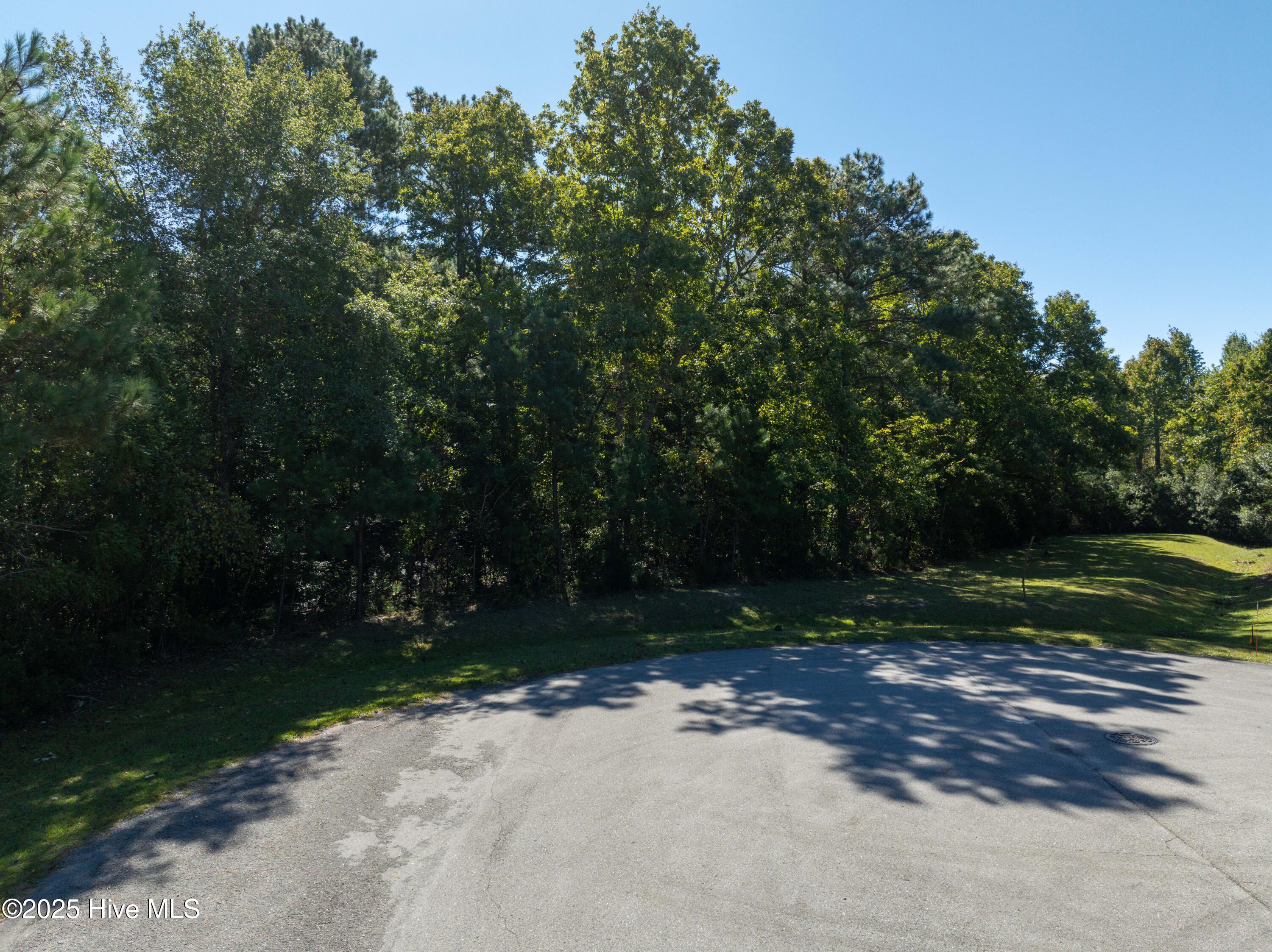 186 Snow Goose Lane, Sneads Ferry