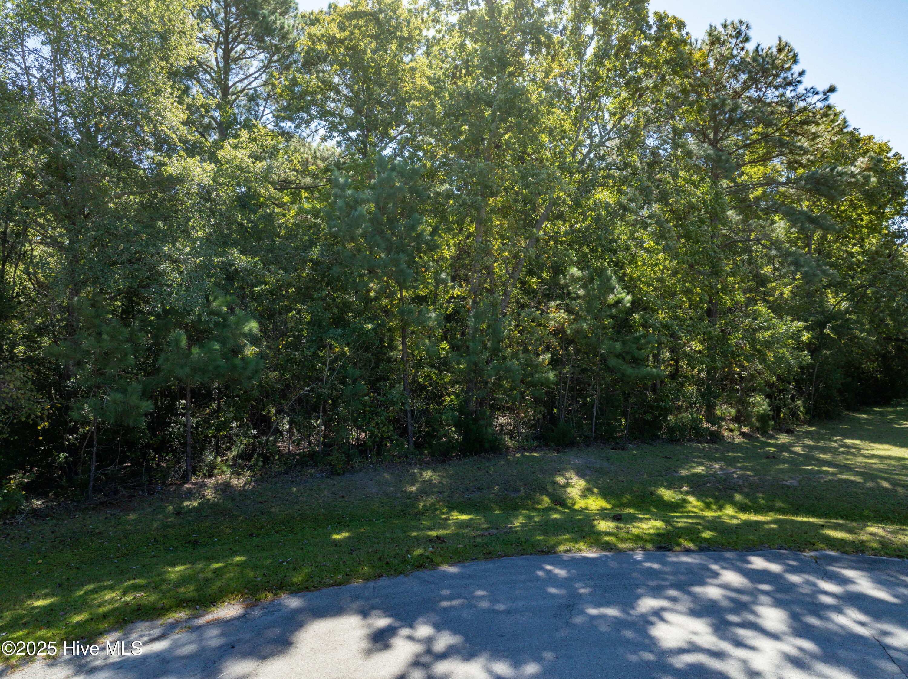 186 Snow Goose Lane, Sneads Ferry