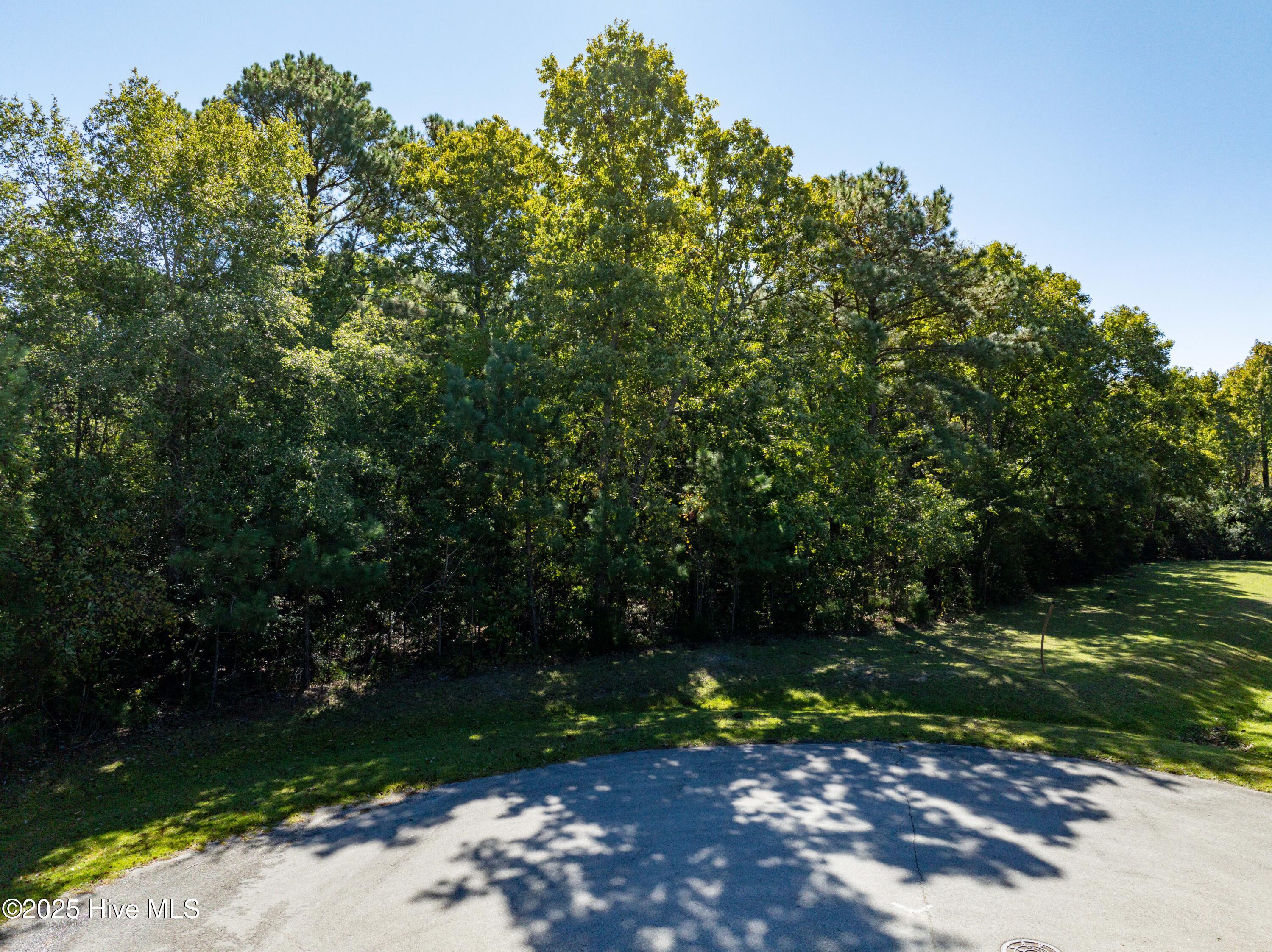 186 Snow Goose Lane, Sneads Ferry