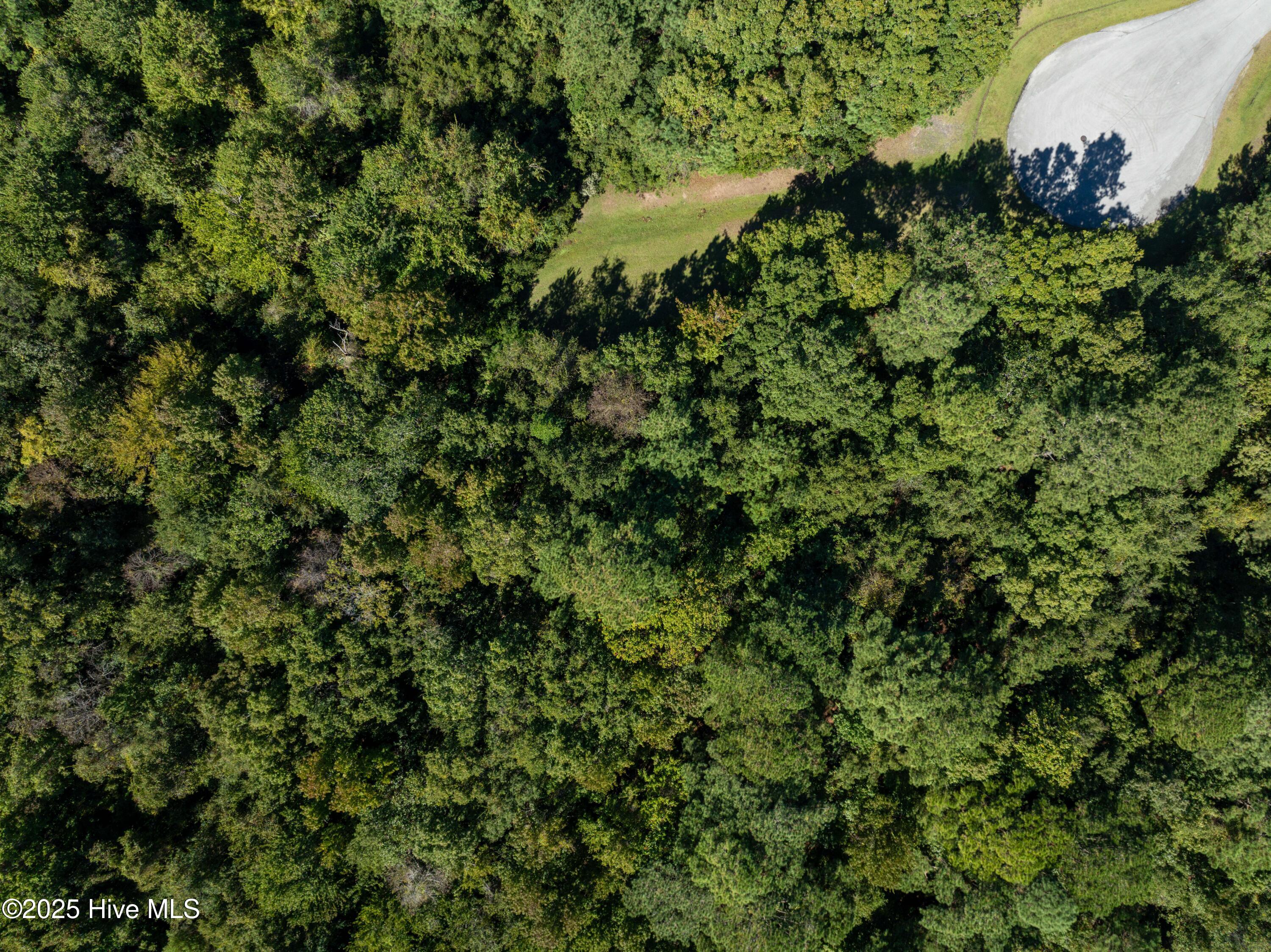 186 Snow Goose Lane, Sneads Ferry