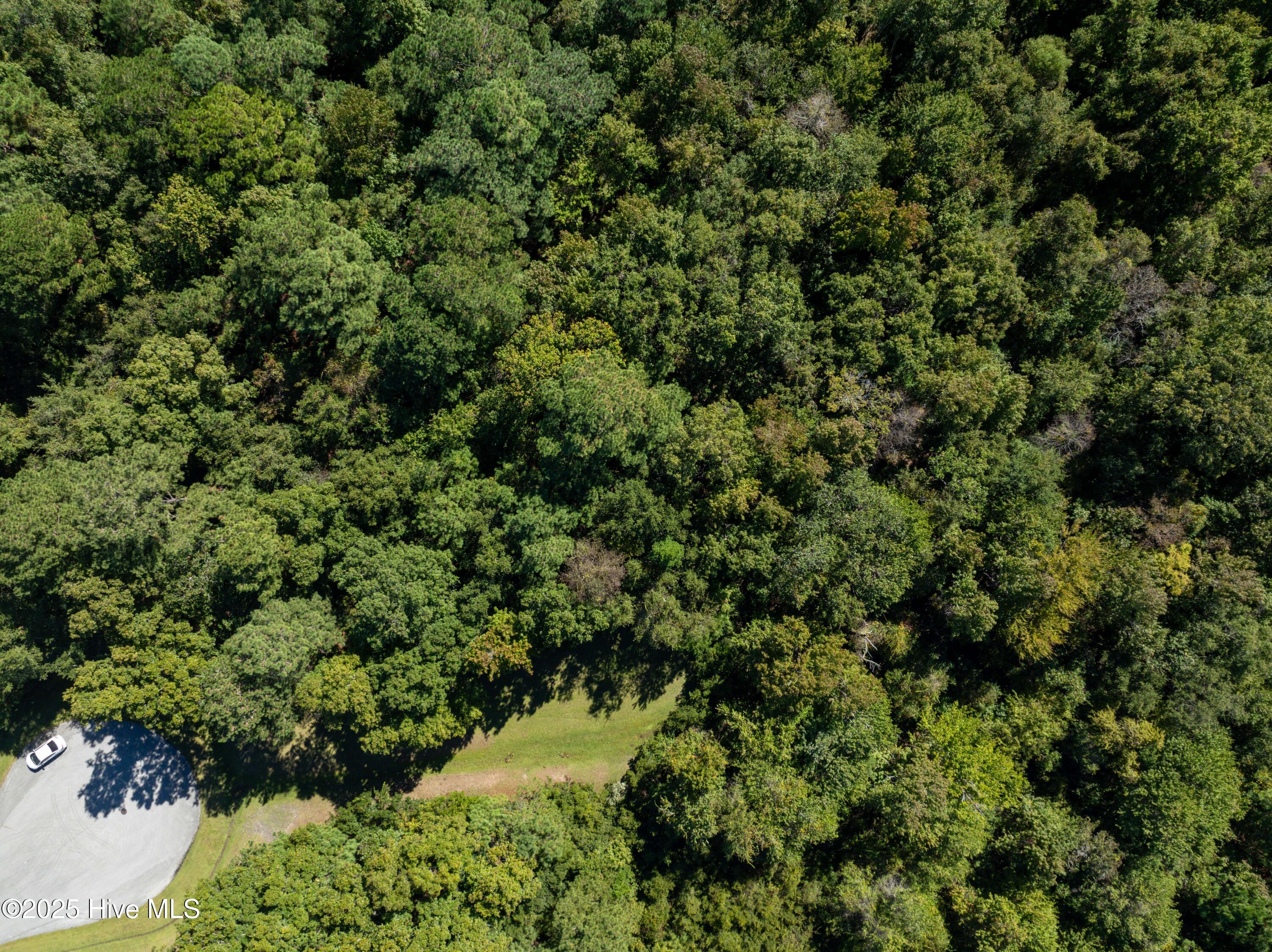 186 Snow Goose Lane, Sneads Ferry