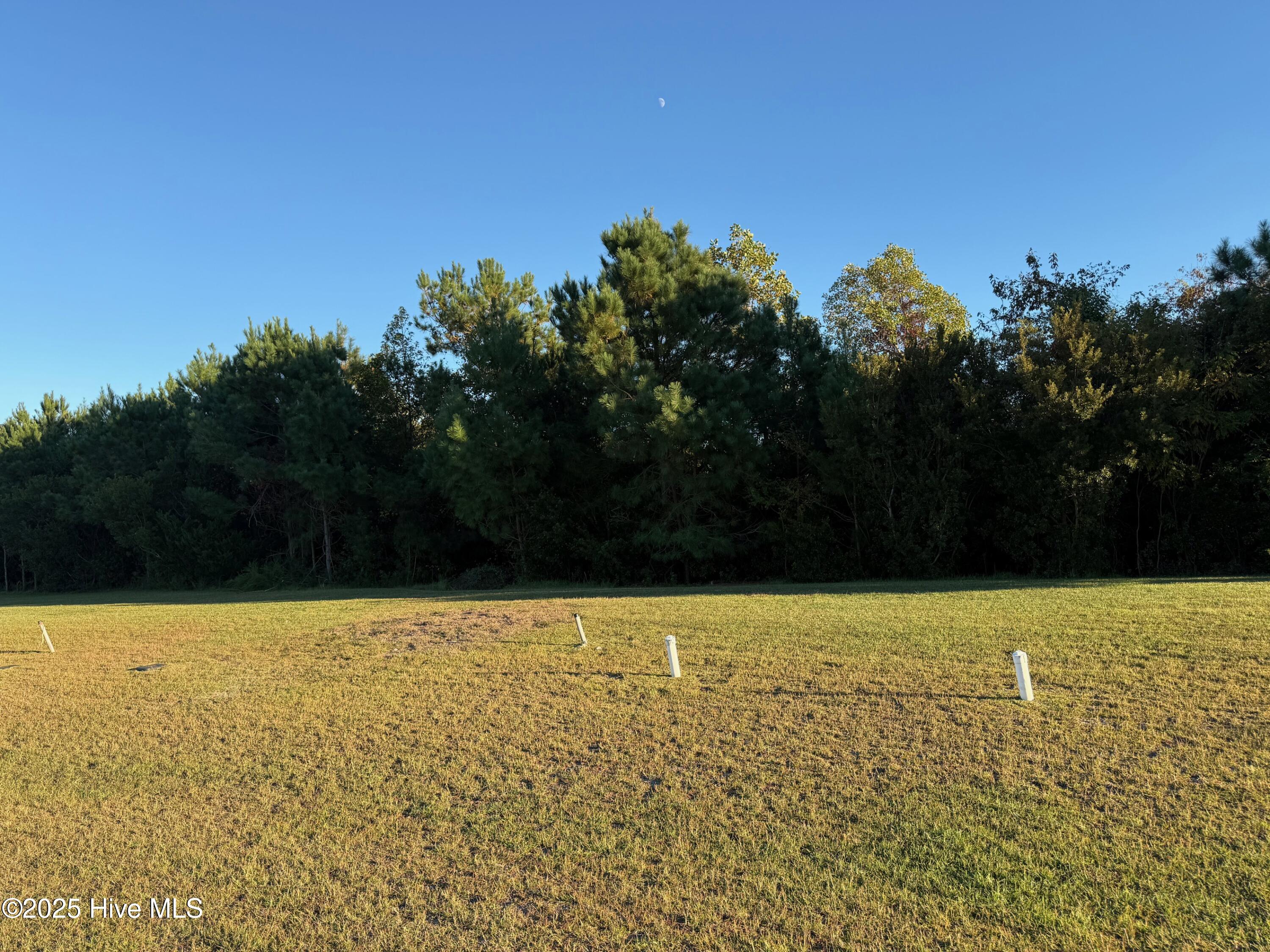 157 Whispering Pine Lane