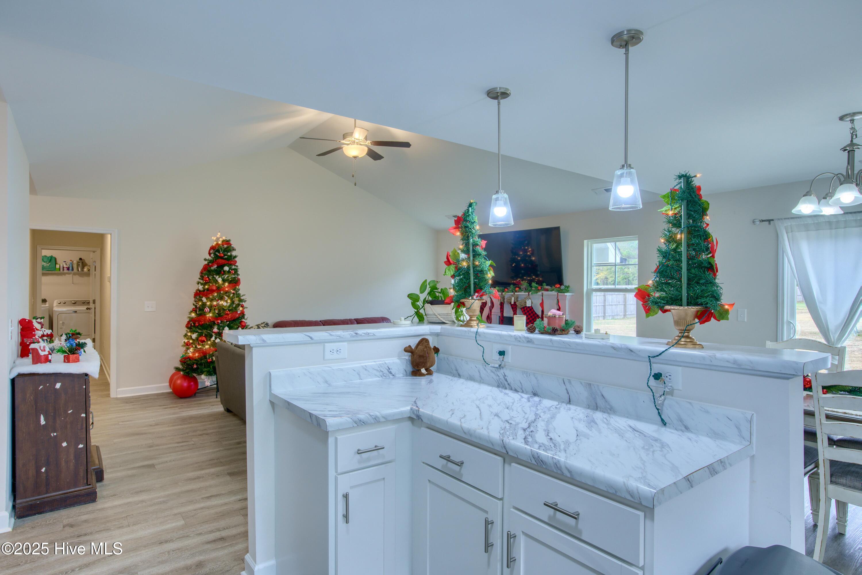 311 James Hedrick Court