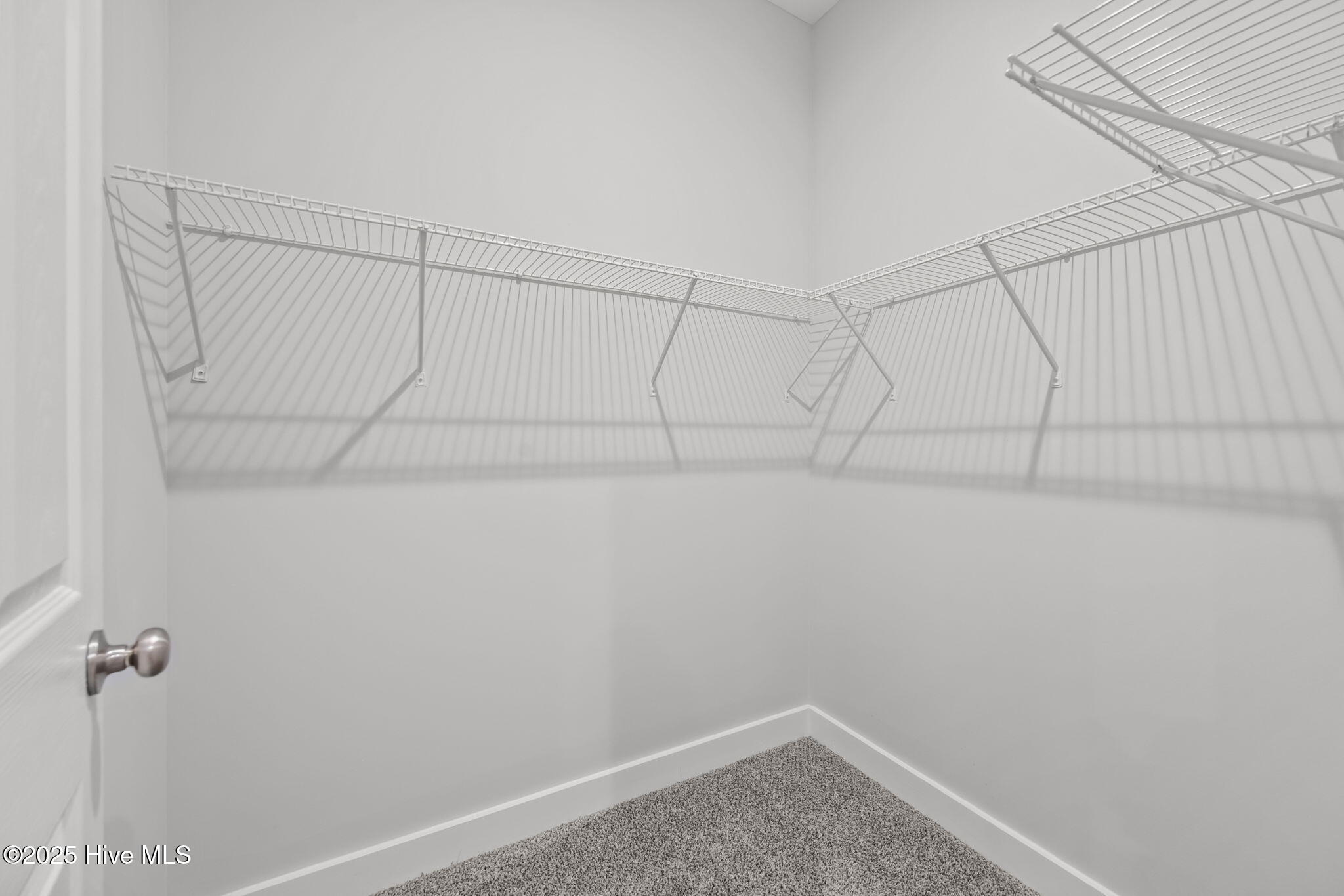 802 Little Cardinal Court