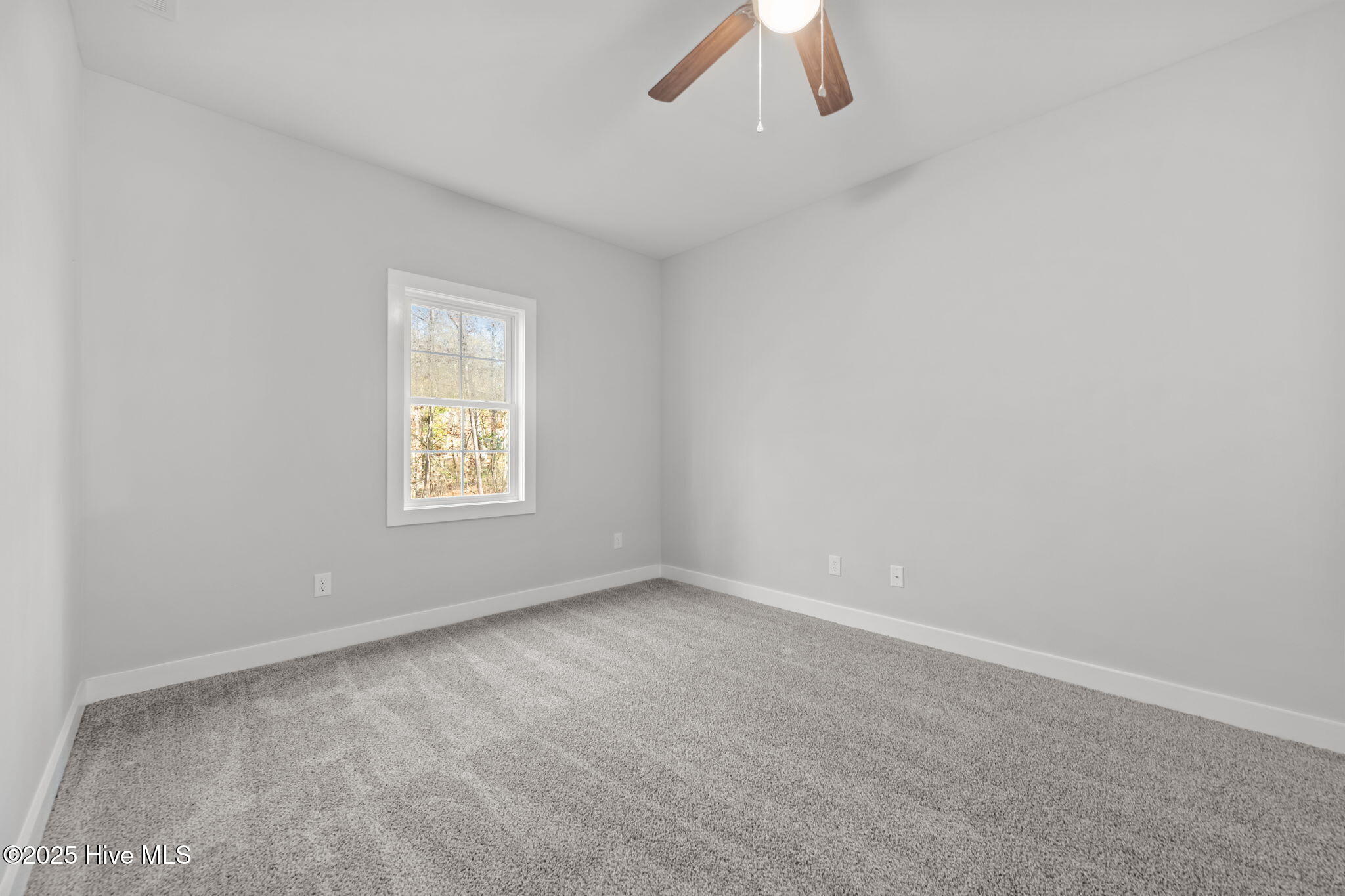 802 Little Cardinal Court