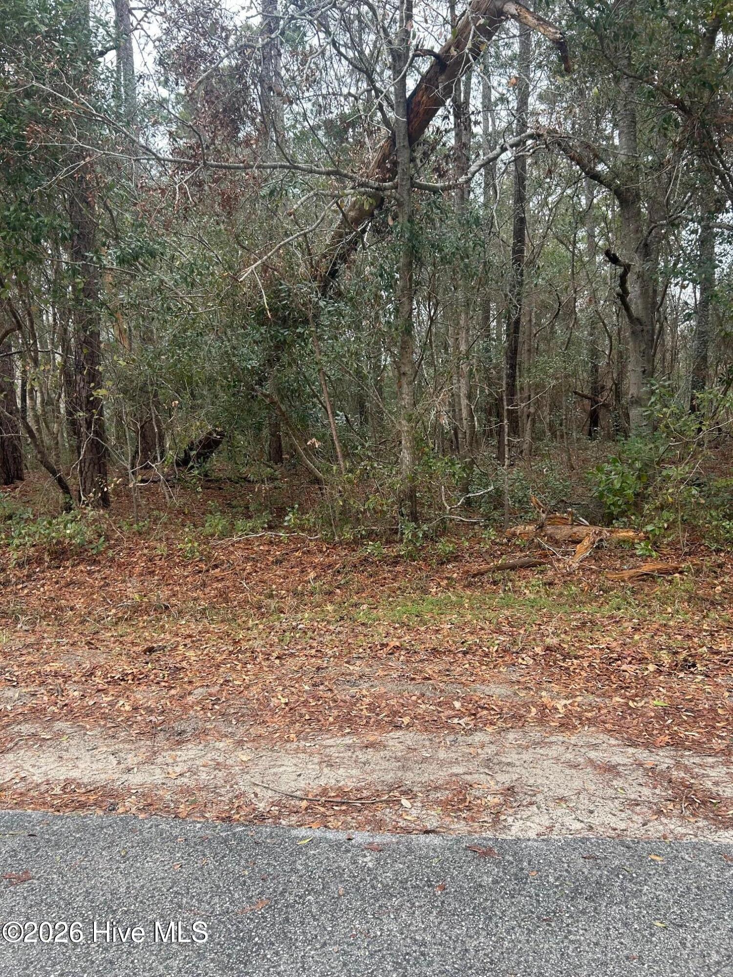 103 38 Dogwood Lane