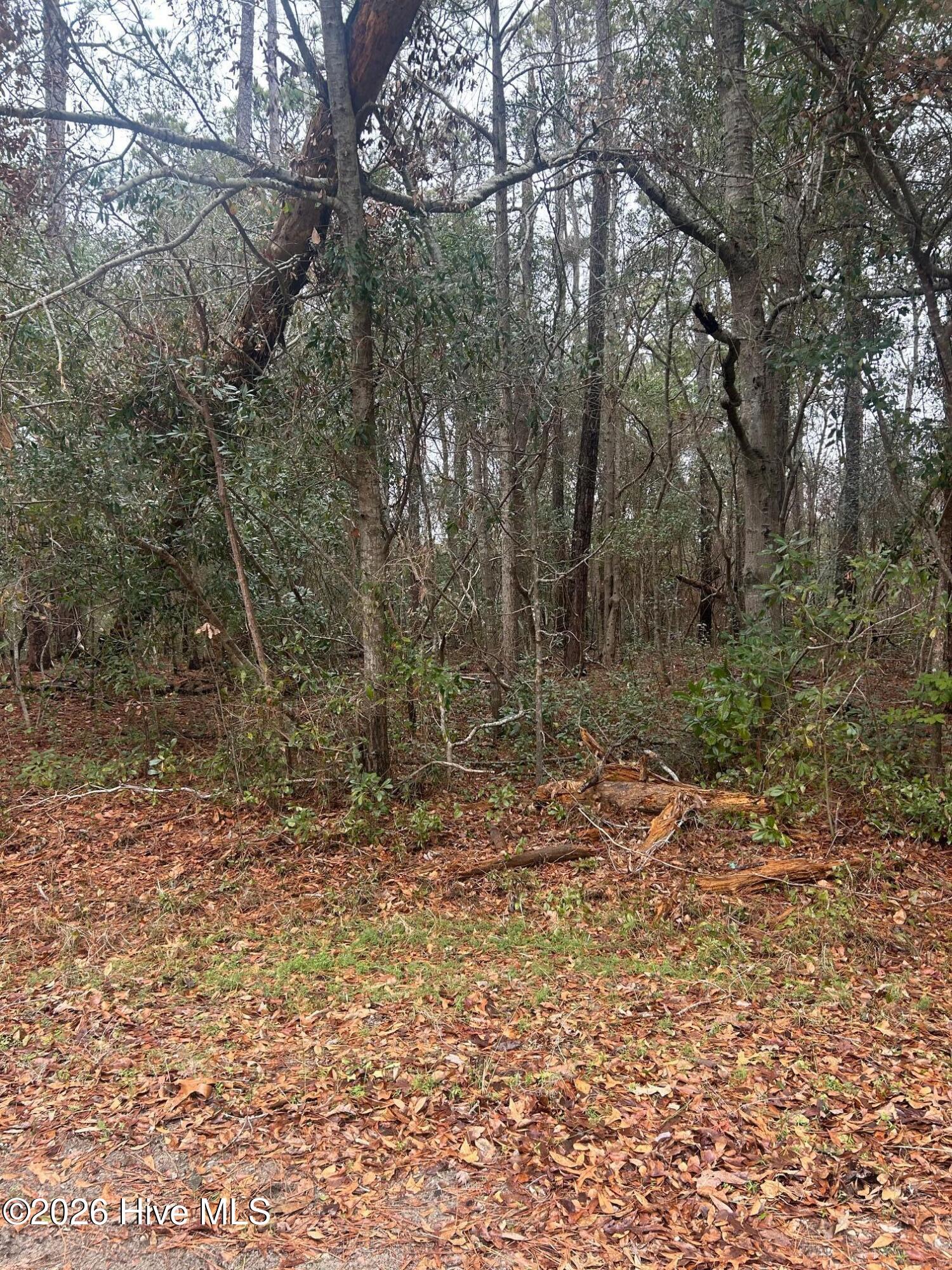 103 38 Dogwood Lane