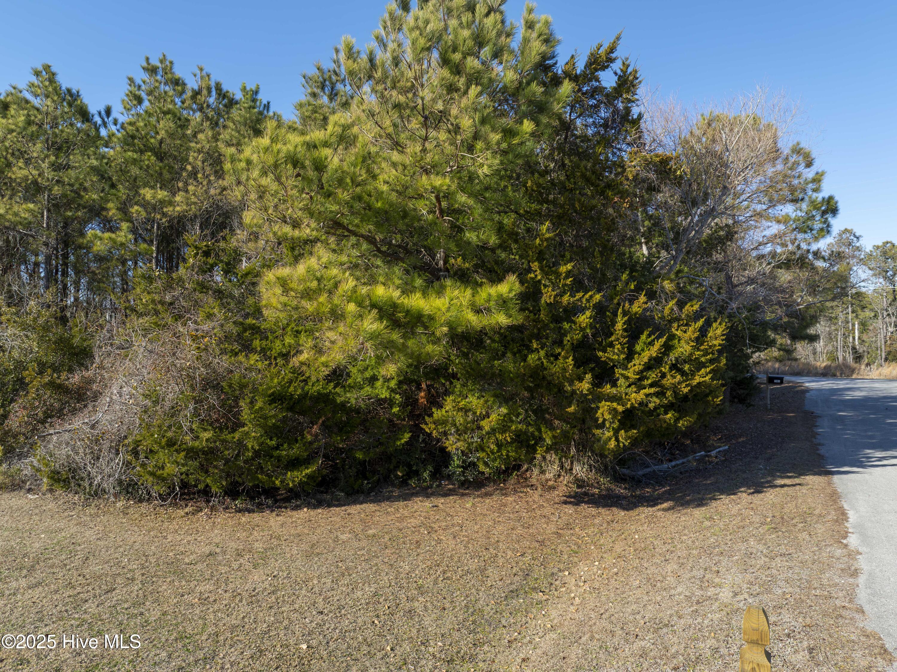 100 Singleton Street