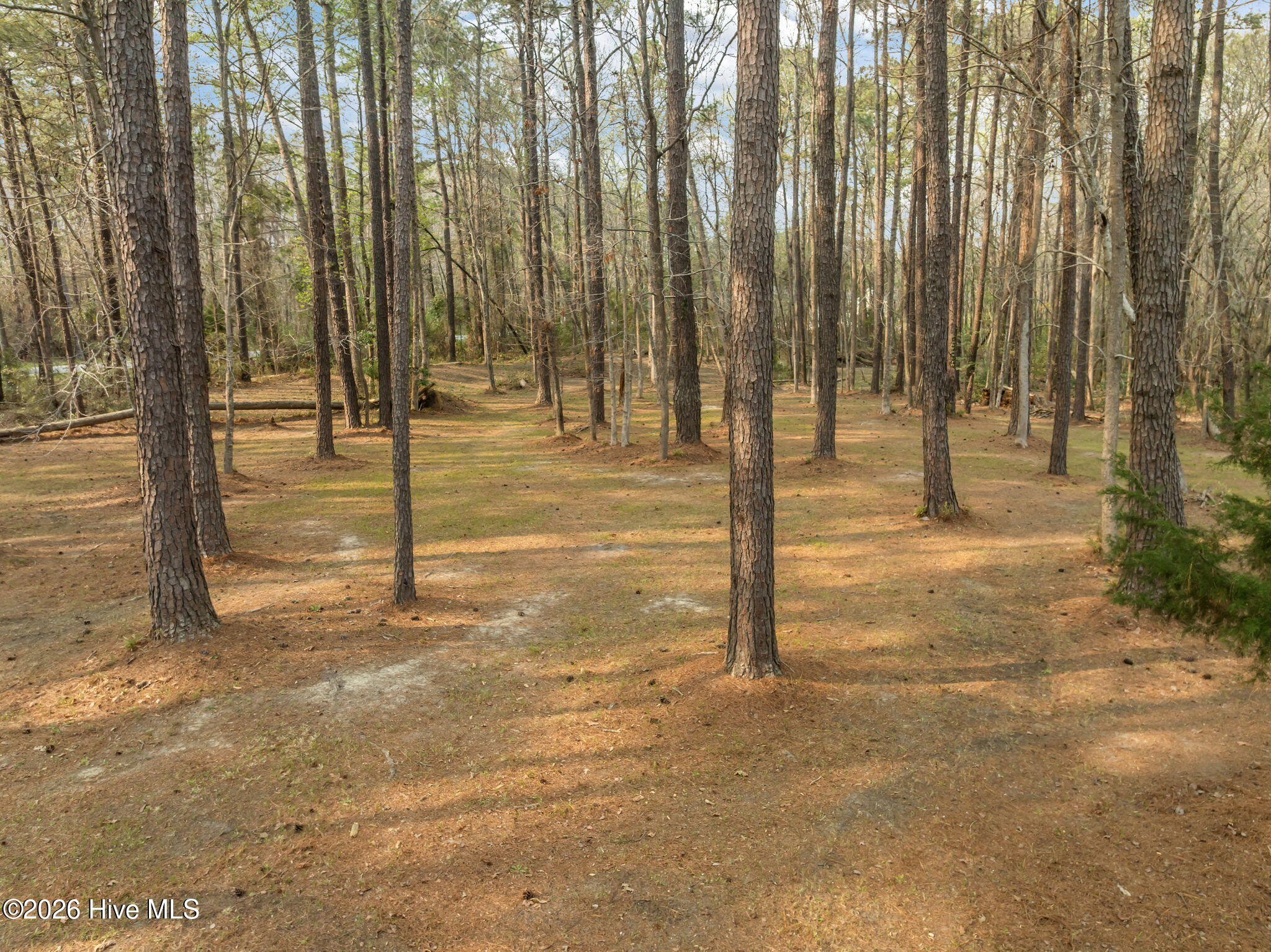 101 Forest Ridge Trail