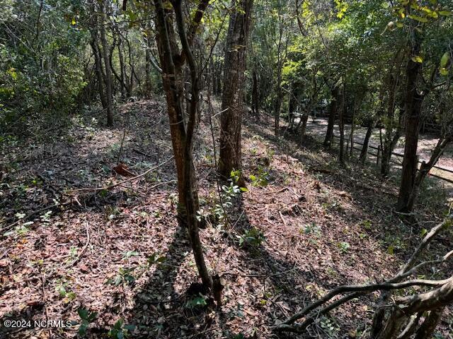 9b 9b W Ridge