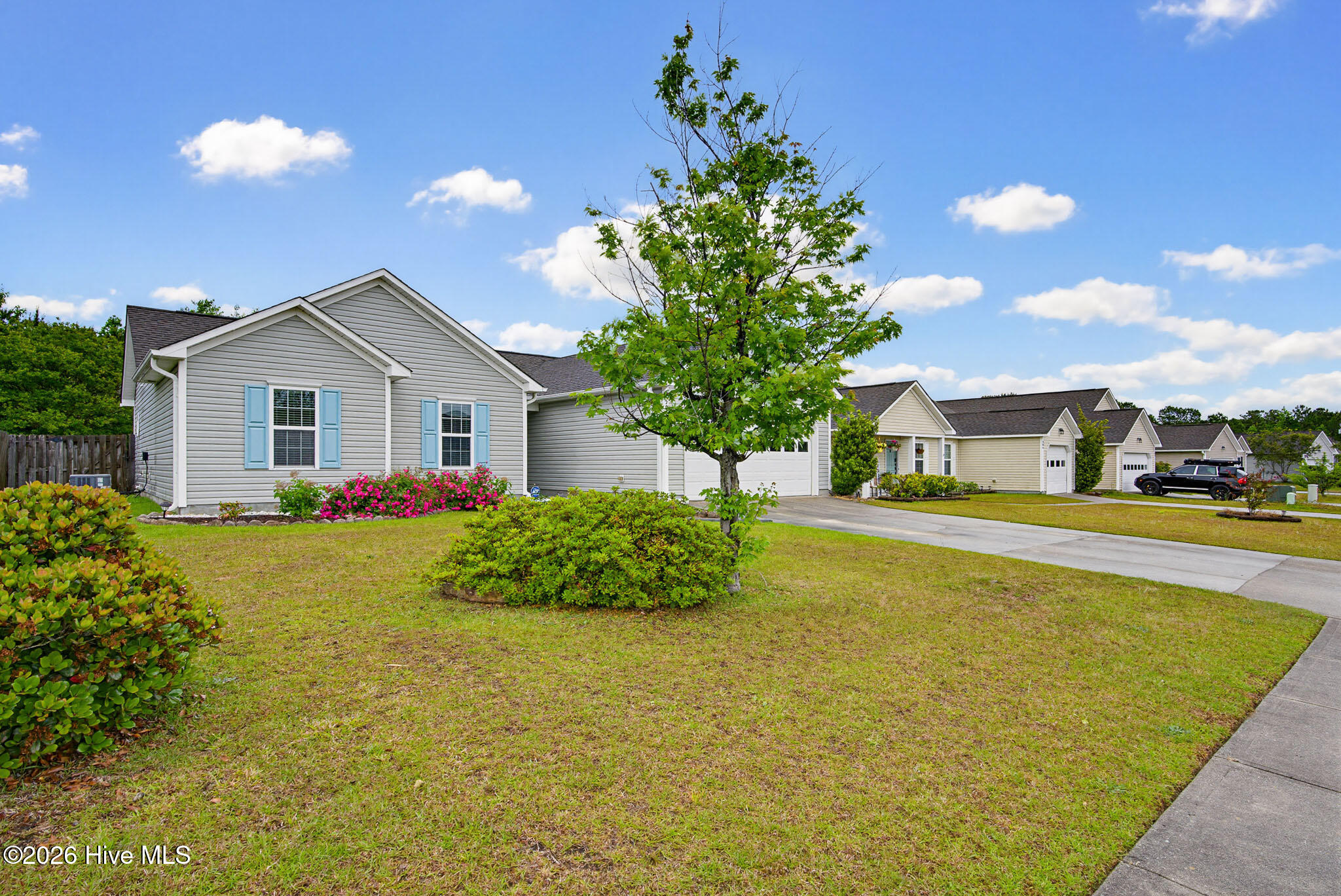 208 Red Carnation Drive