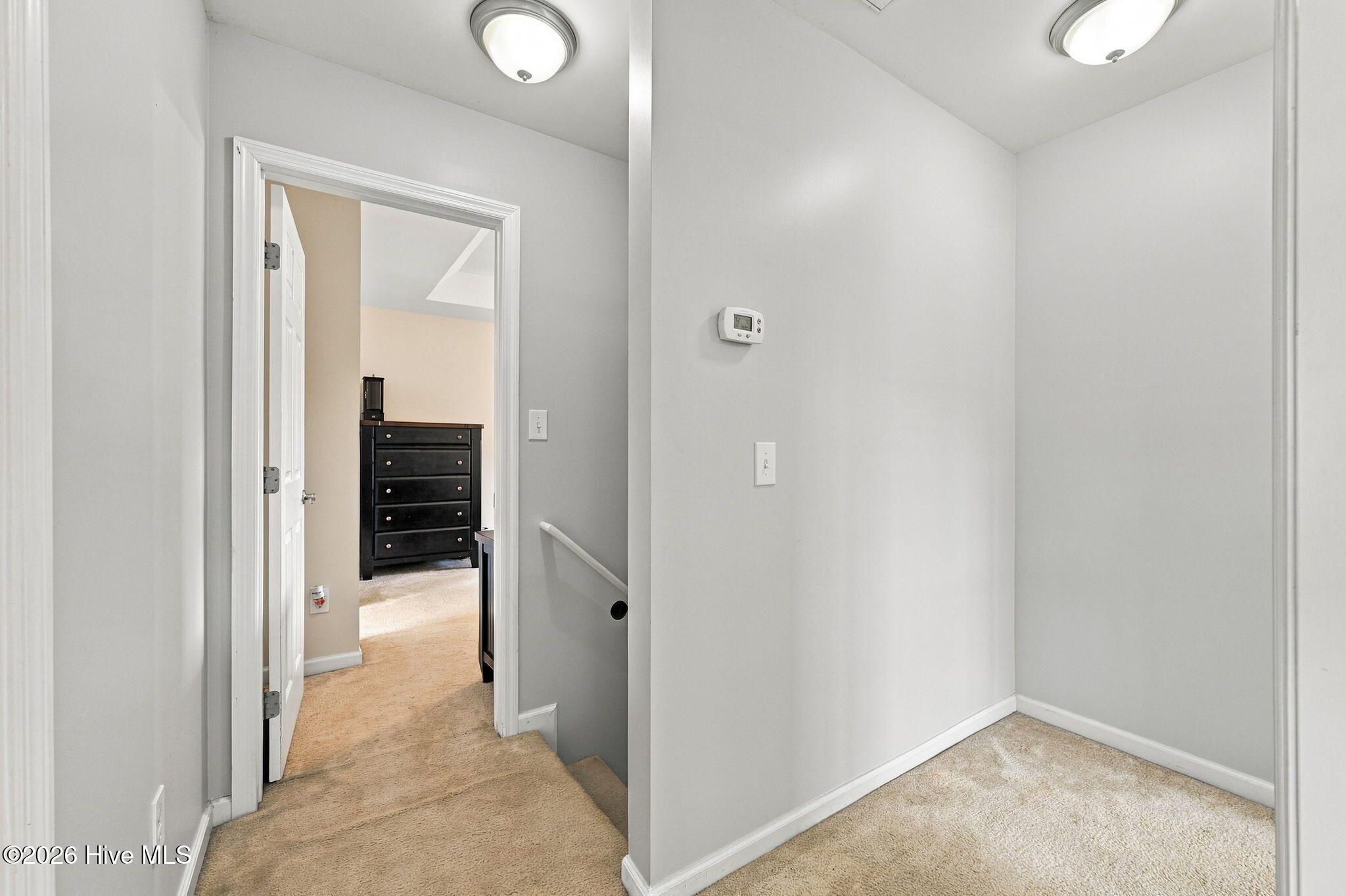 113 Borough Nest Drive