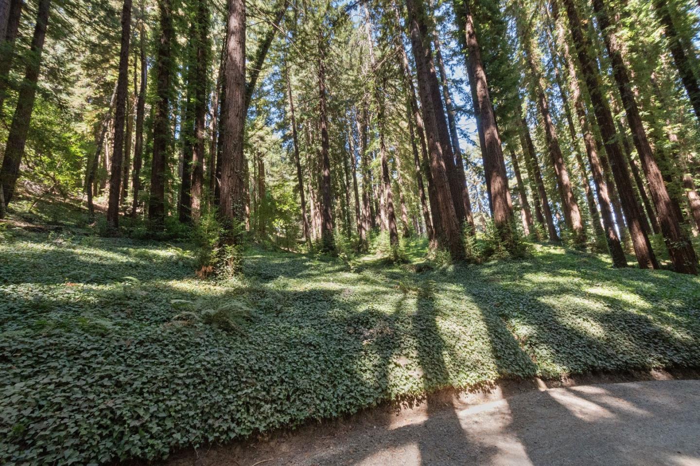 446 Old La Honda RD