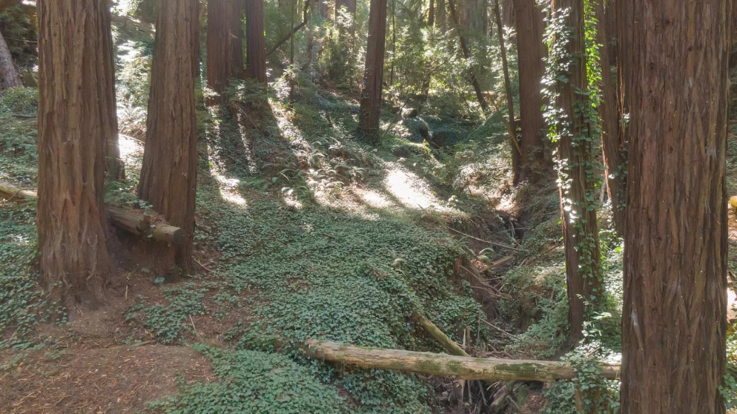 446 Old La Honda RD