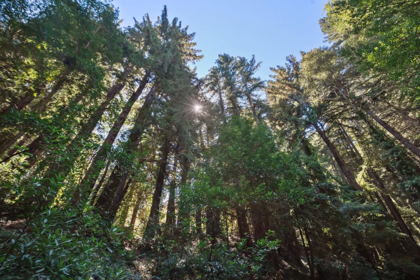 446 Old La Honda RD