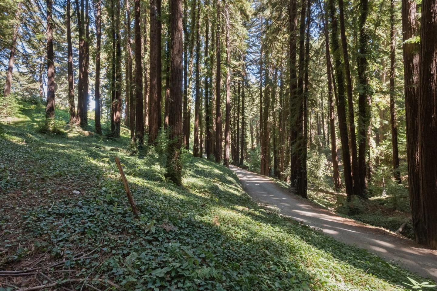 446 Old La Honda RD
