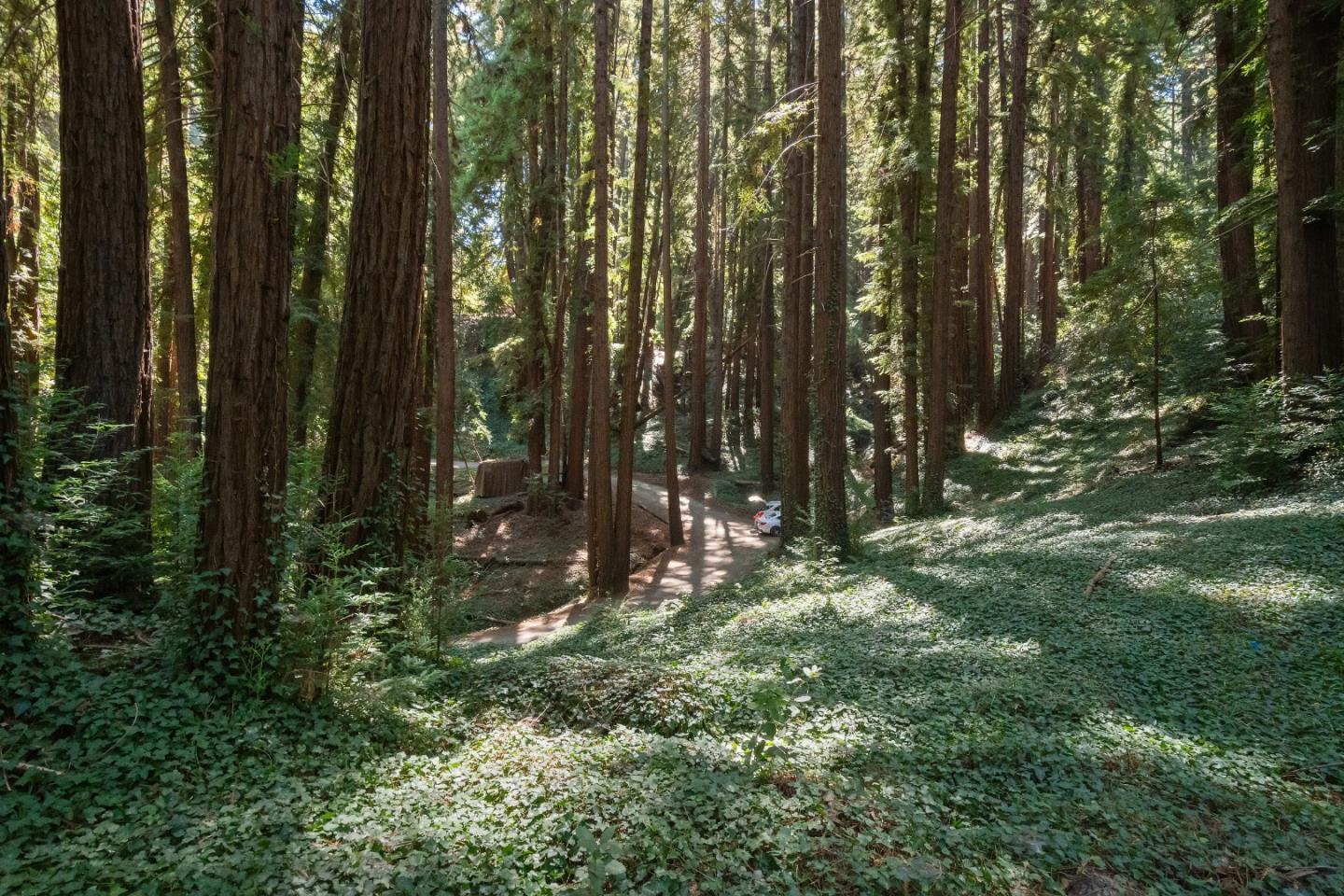 446 Old La Honda RD