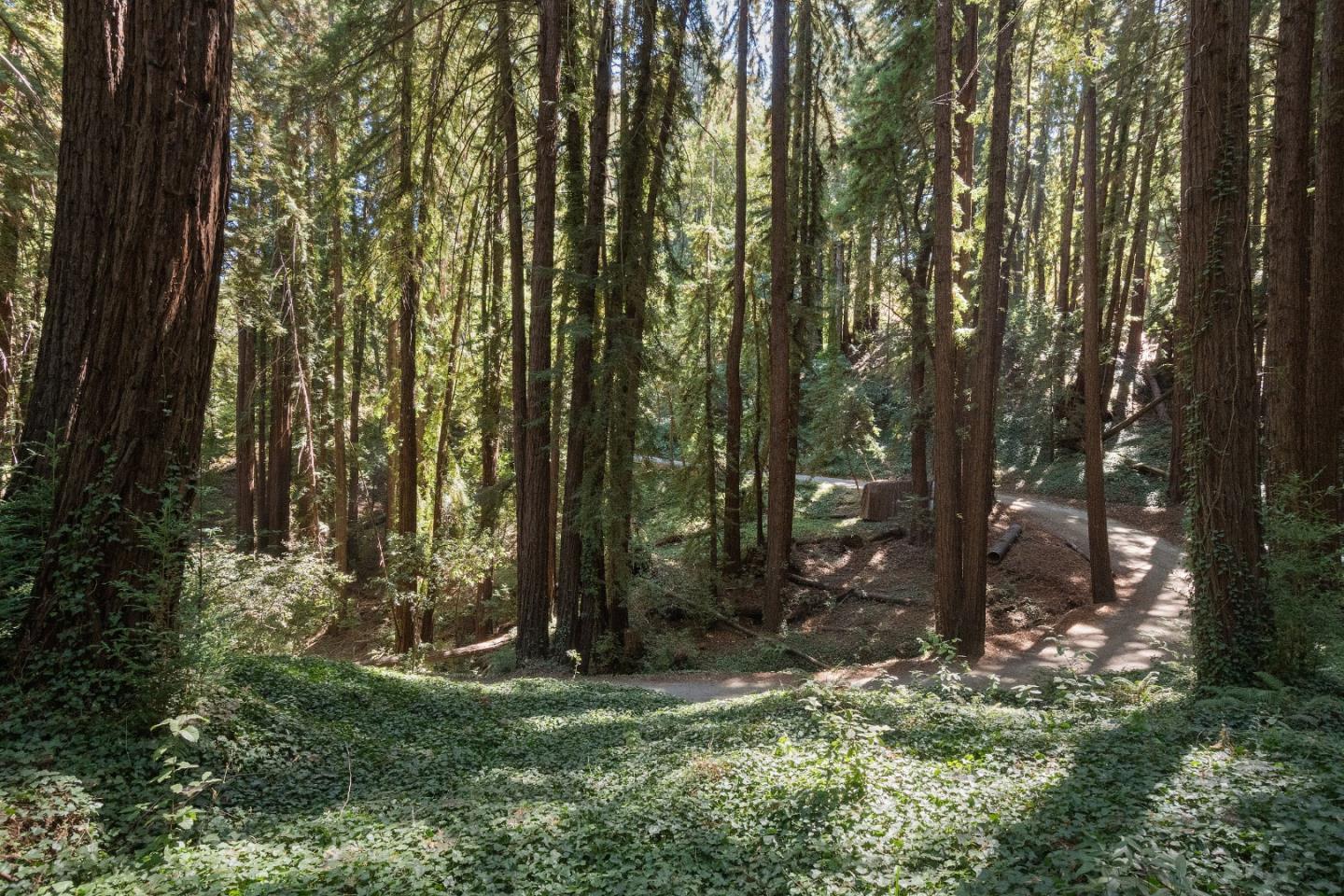 446 Old La Honda RD