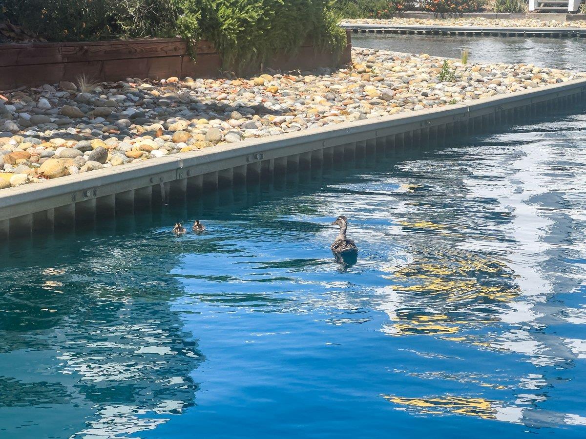 601 Portofino Lane