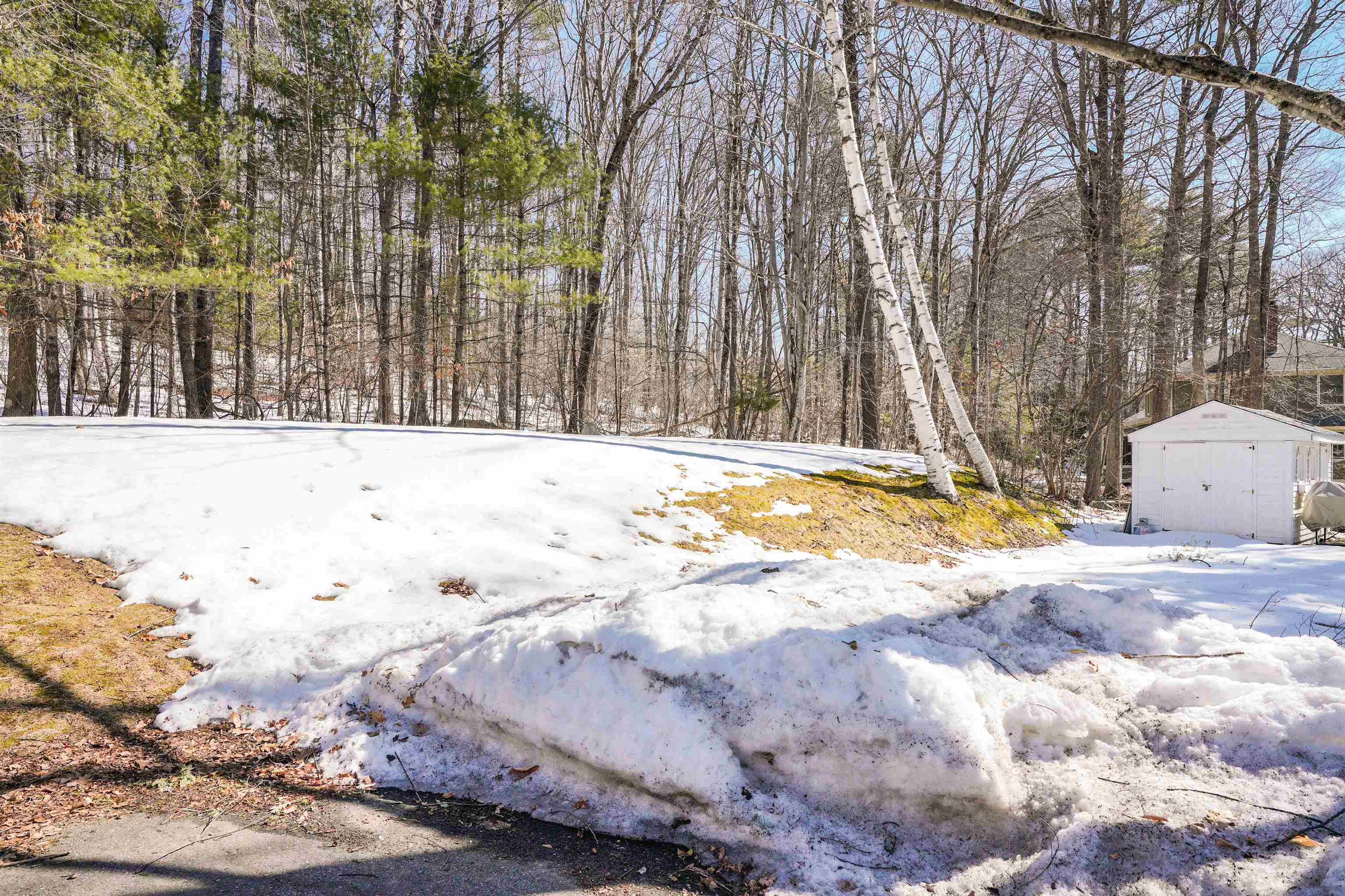 117 Birch Lane