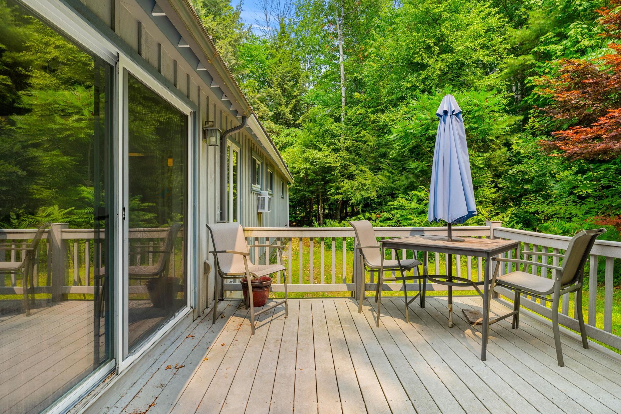 115 Chestnut Drive