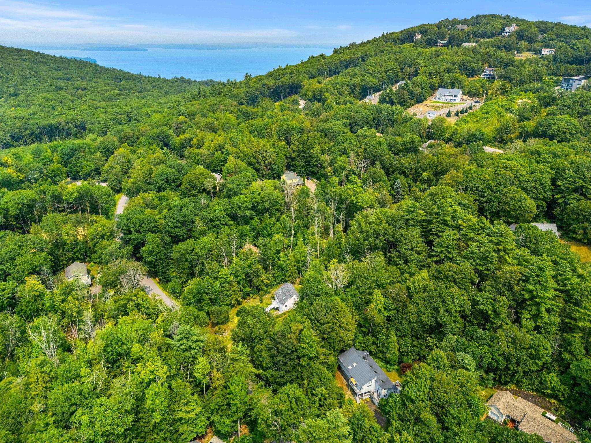 115 Chestnut Drive