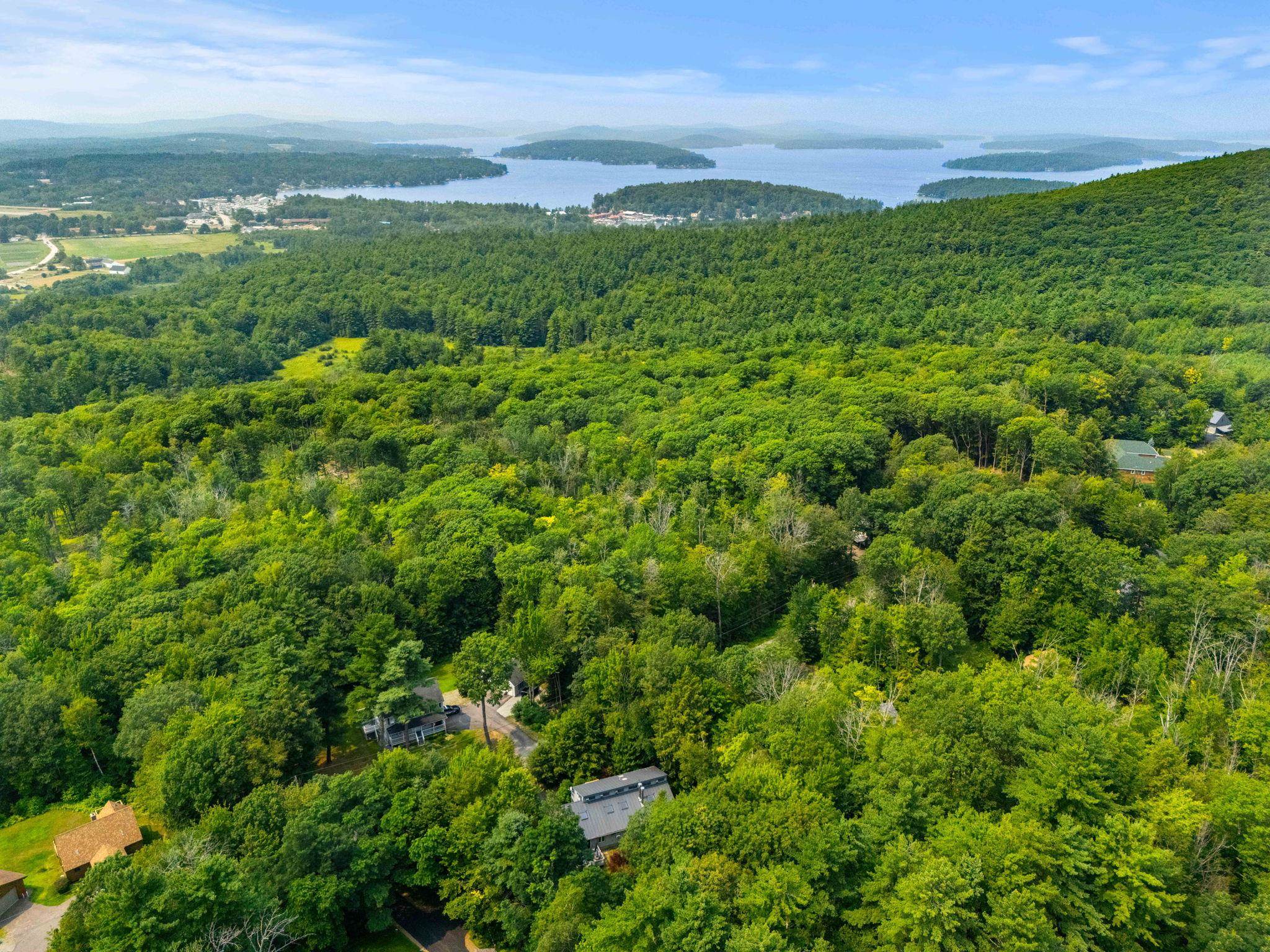 115 Chestnut Drive