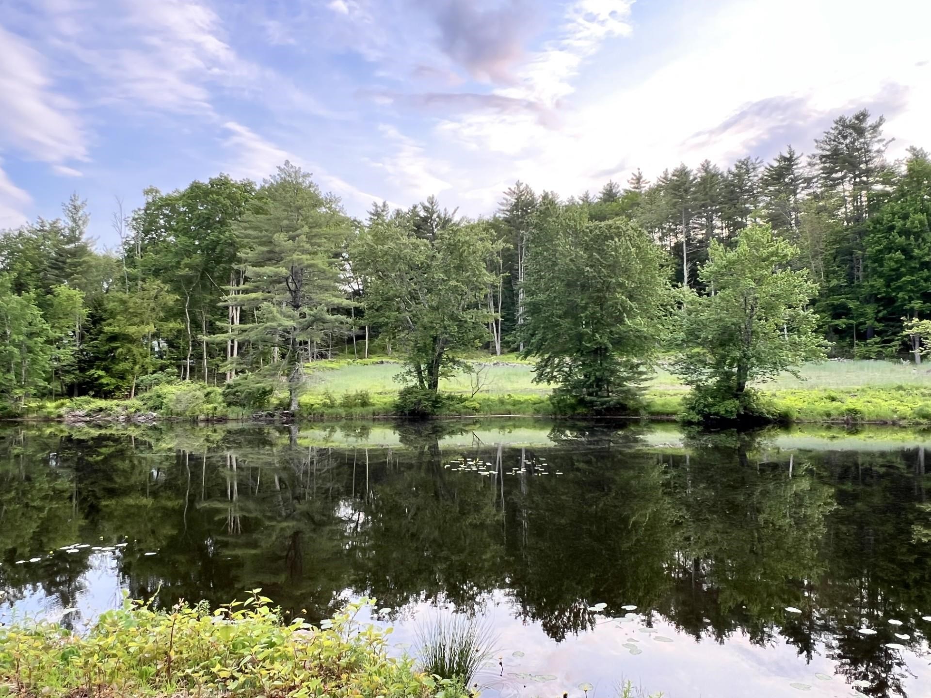Lot 4 Jenkins Road Unit: Lot 4  - Modern Farmhouse